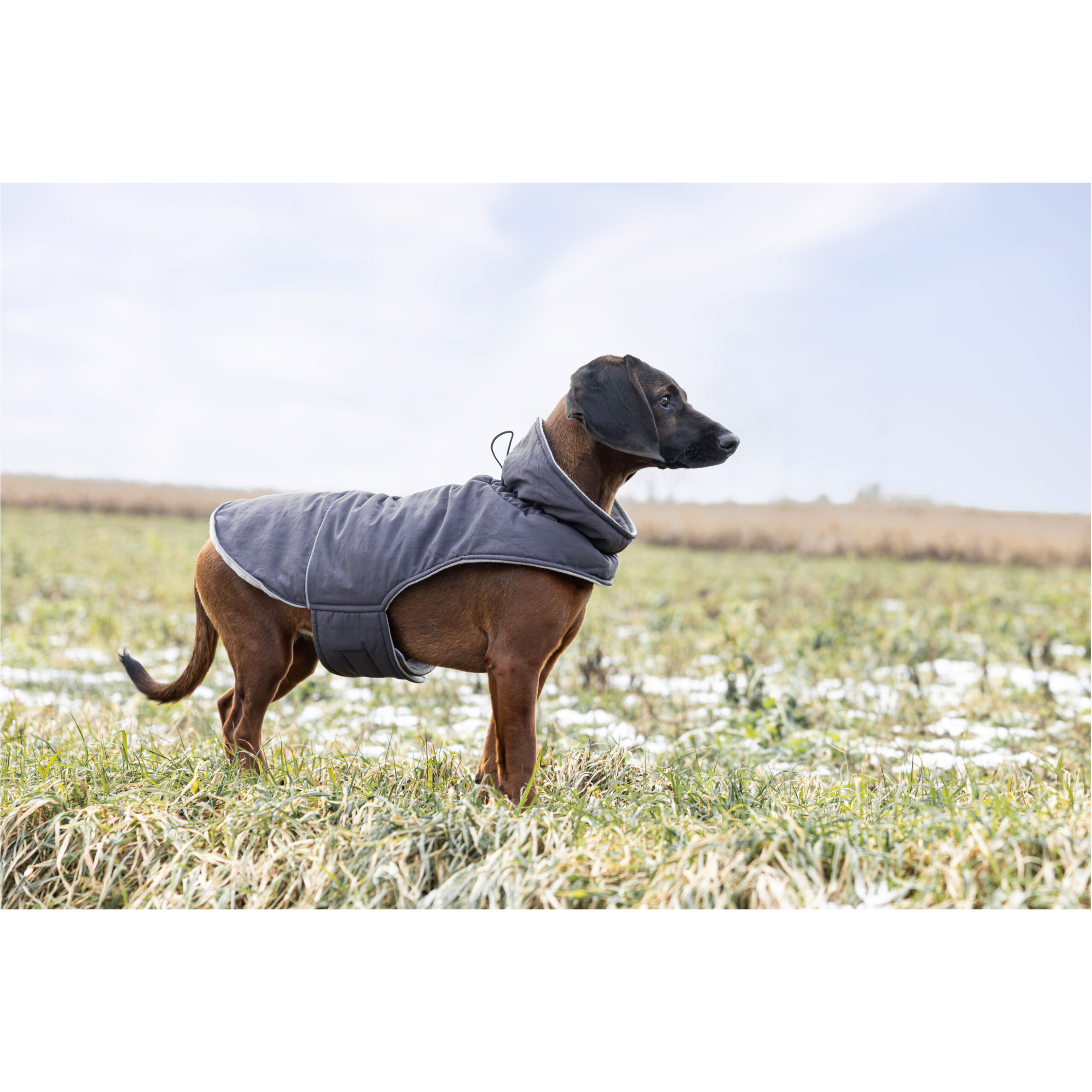 Hundemantel MONTREAL grau