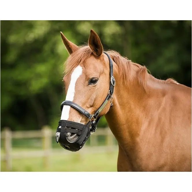 Maulkorb schwarz Einheitsgröße