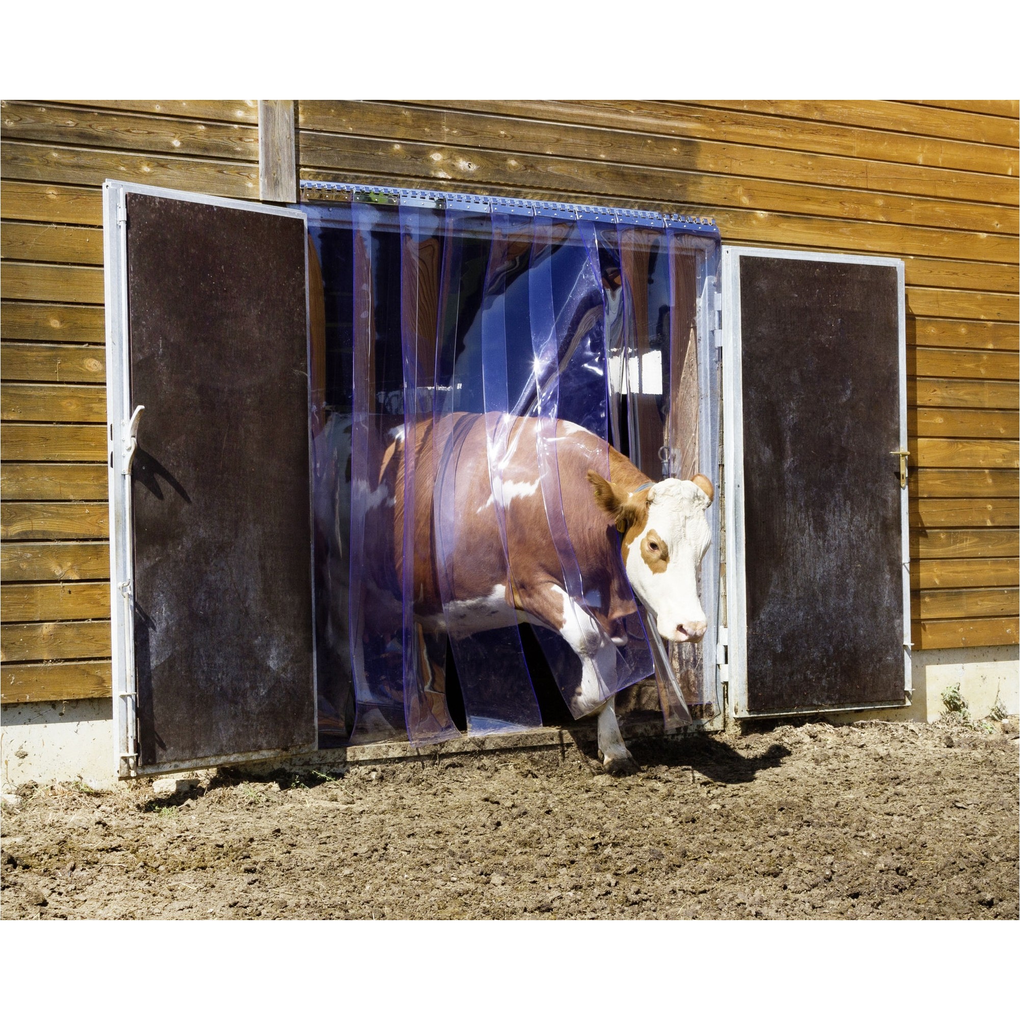 PVC-Streifenvorhang transparent 130x225cm 