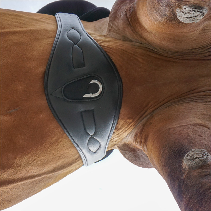 Ledersattelgurt ohne Elast COMFORT Softleder braun