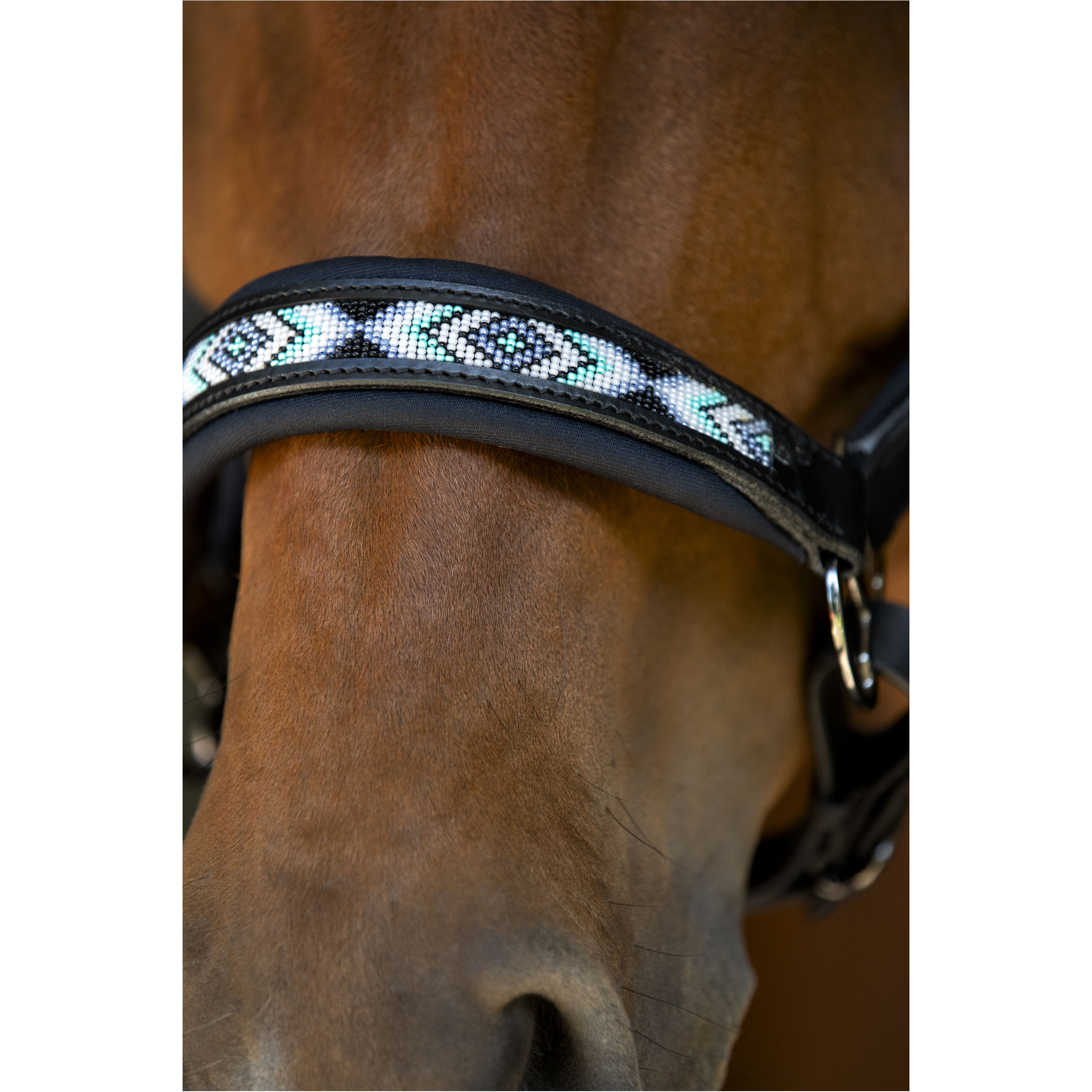 Lederhalfter ANAMO schwarz Lederhalfter ANAMO schwarz