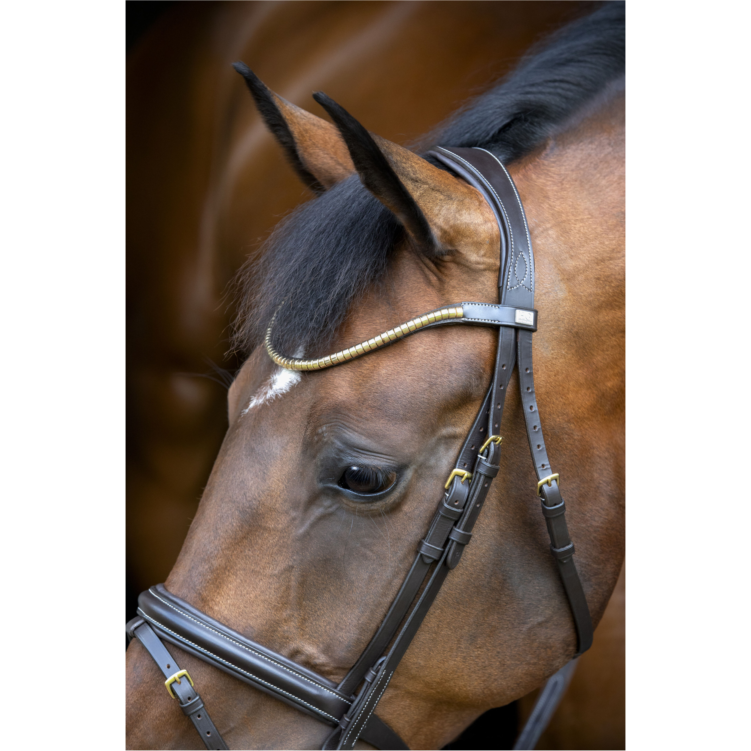 Trensenzaum englisch kombiniert EMI 26.1 braun