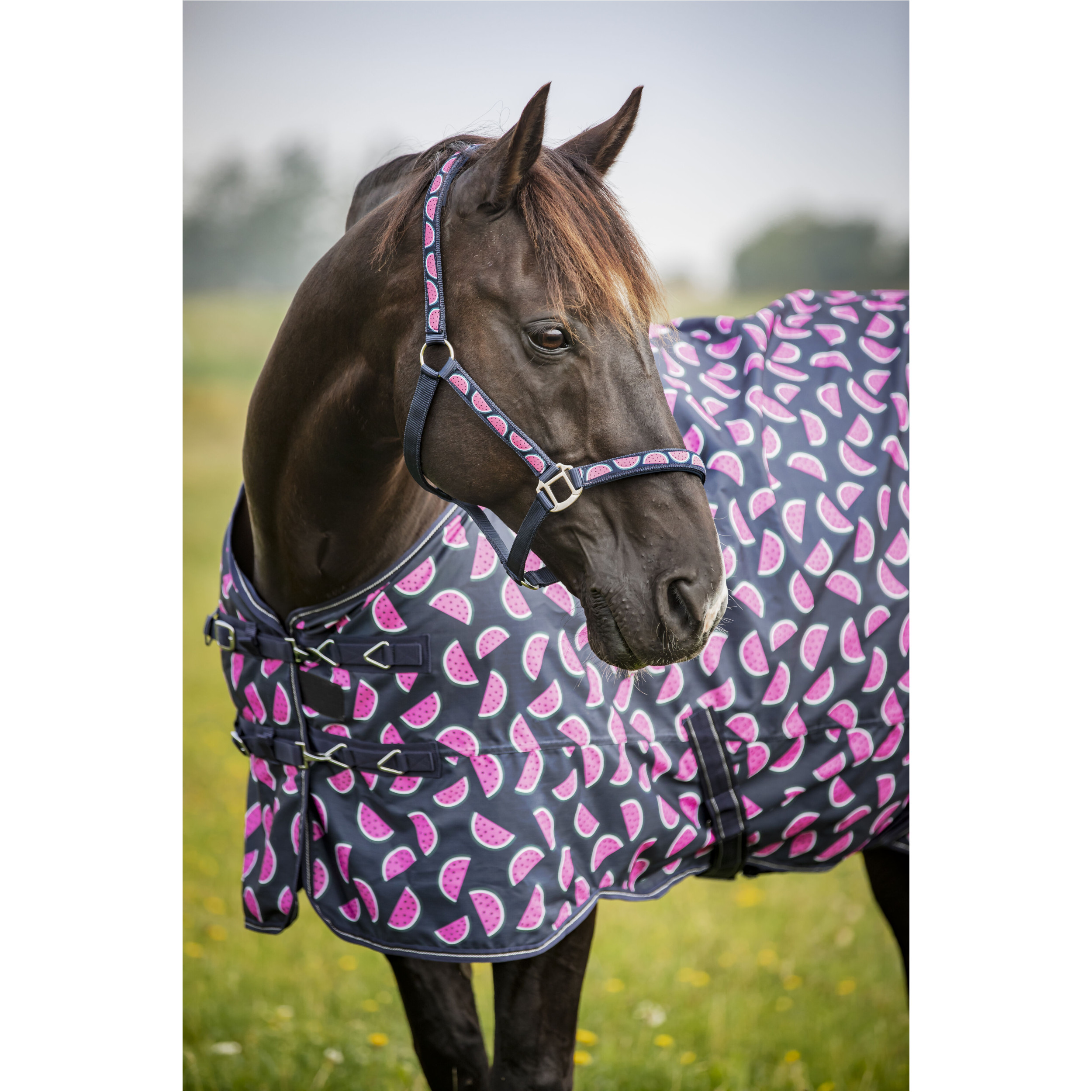 Halfter MELON navy Halfter MELON navy