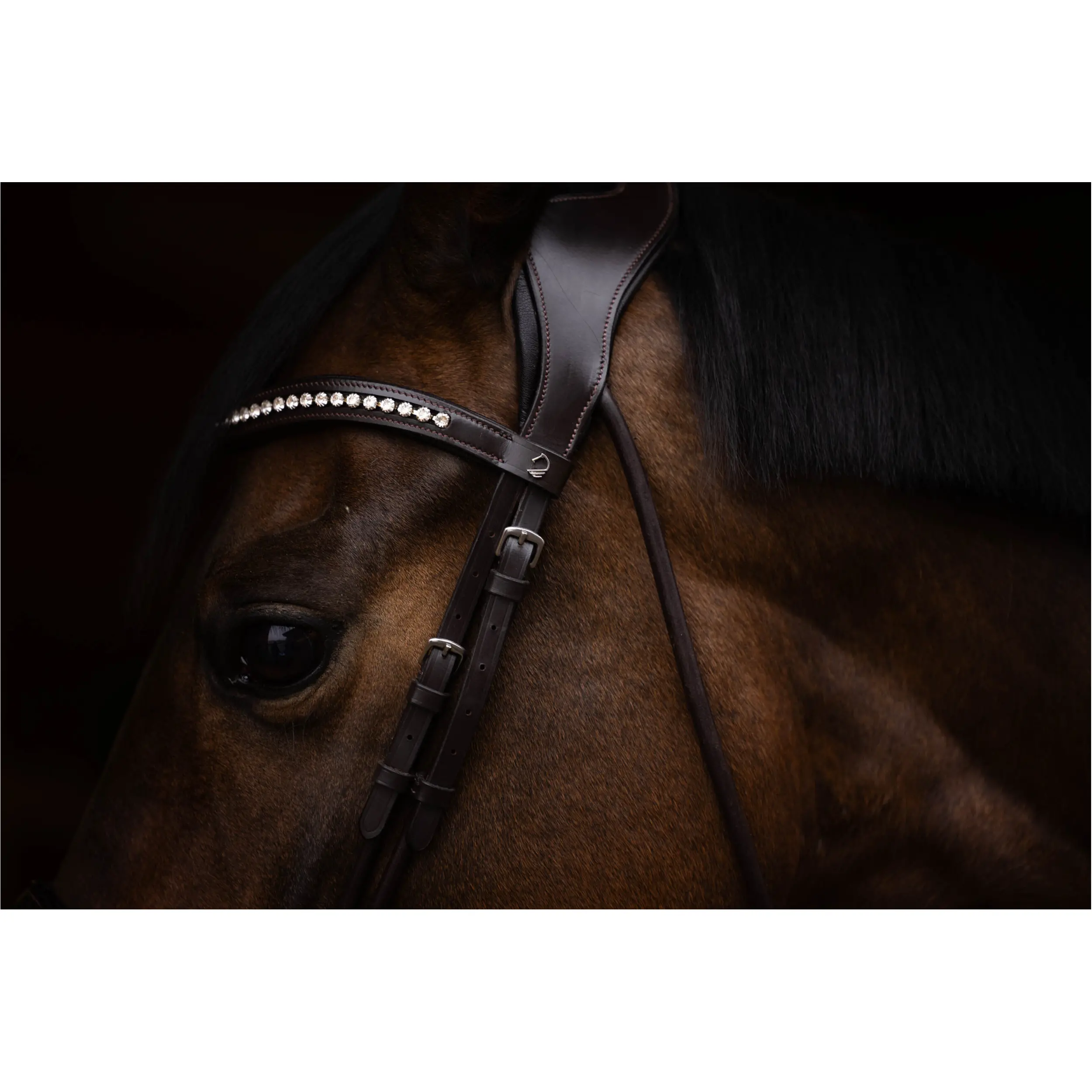 Trensenzaum mit schwedischem Reithalfter AREZZO dunkelbraun Trensenzaum mit schwedischem Reithalfter AREZZO dunkelbraun