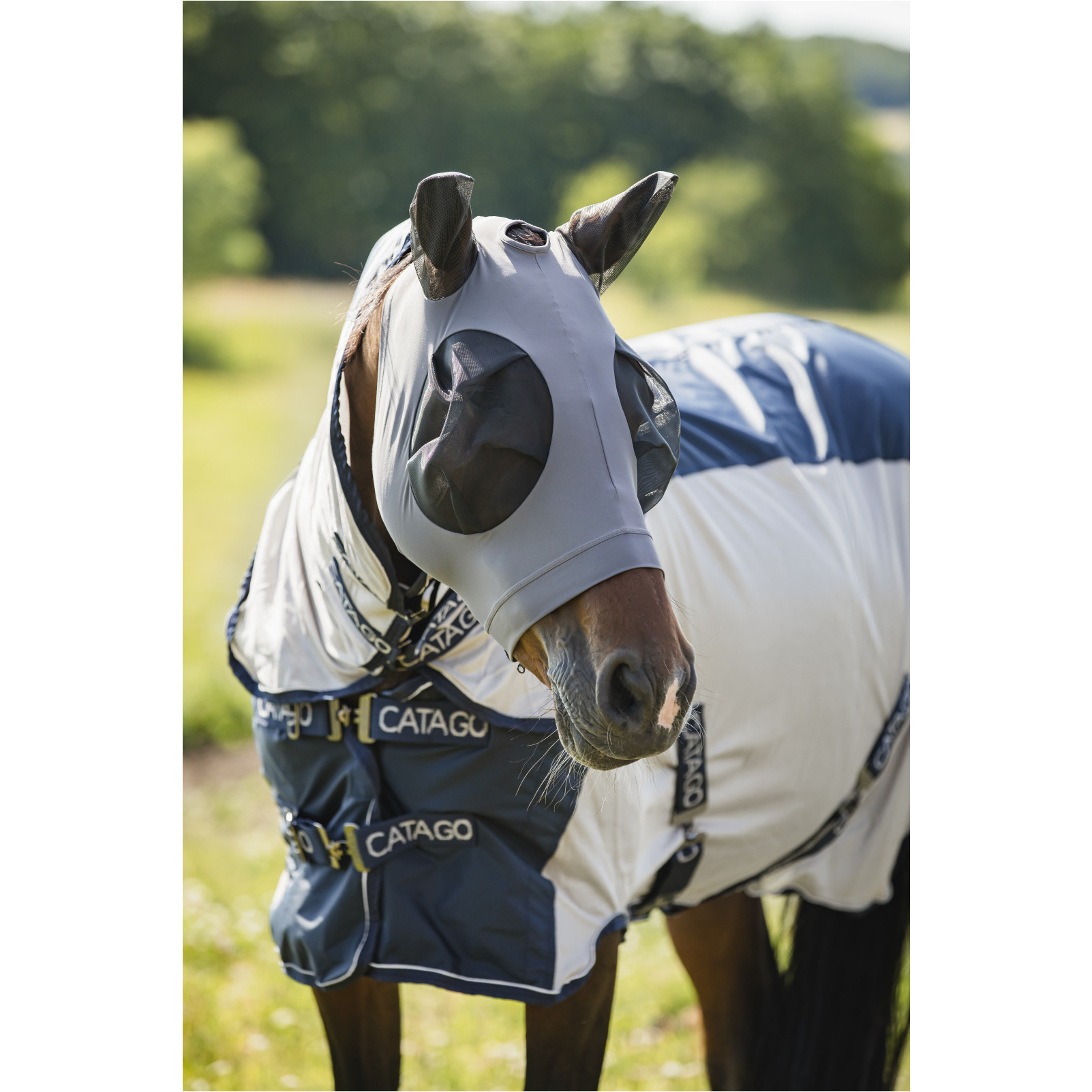 Fliegenmaske mit Reißverschluss asphalt