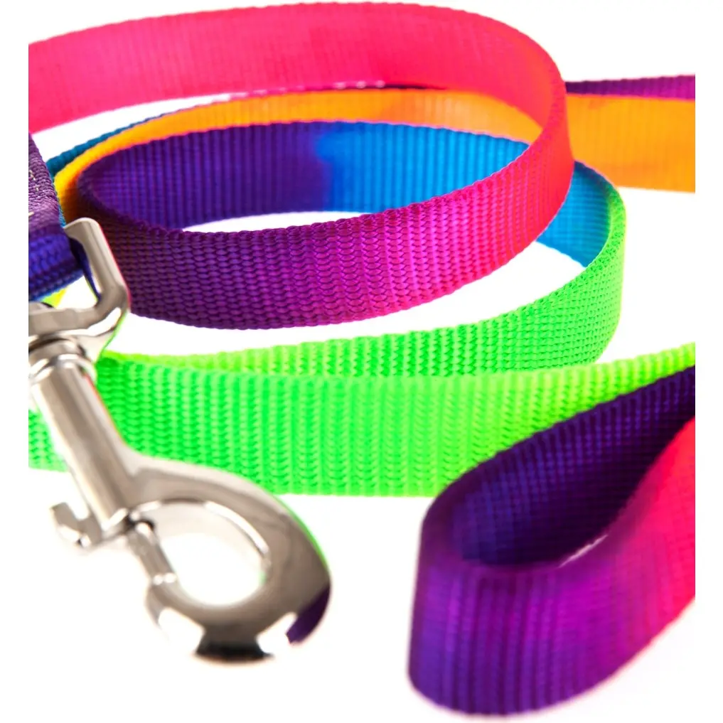 Führstrick mit Karabinerhaken REGENBOGEN neon multicolor 180cm