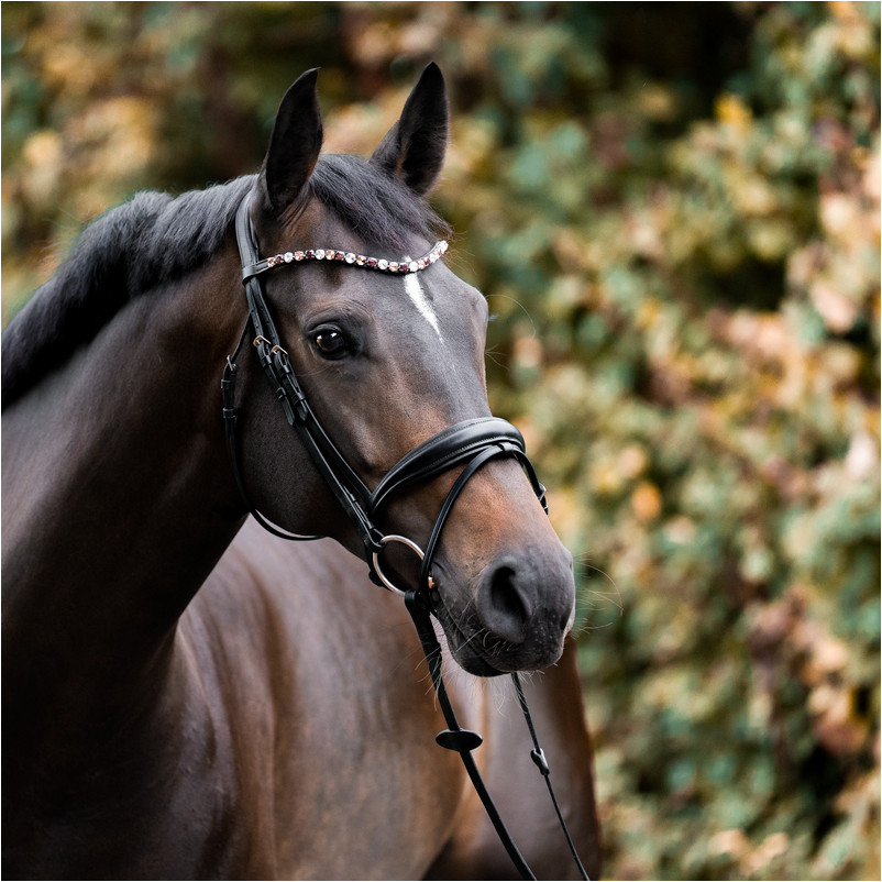 Stirnband BURGUNDY schwarz/bordeaux/rosé