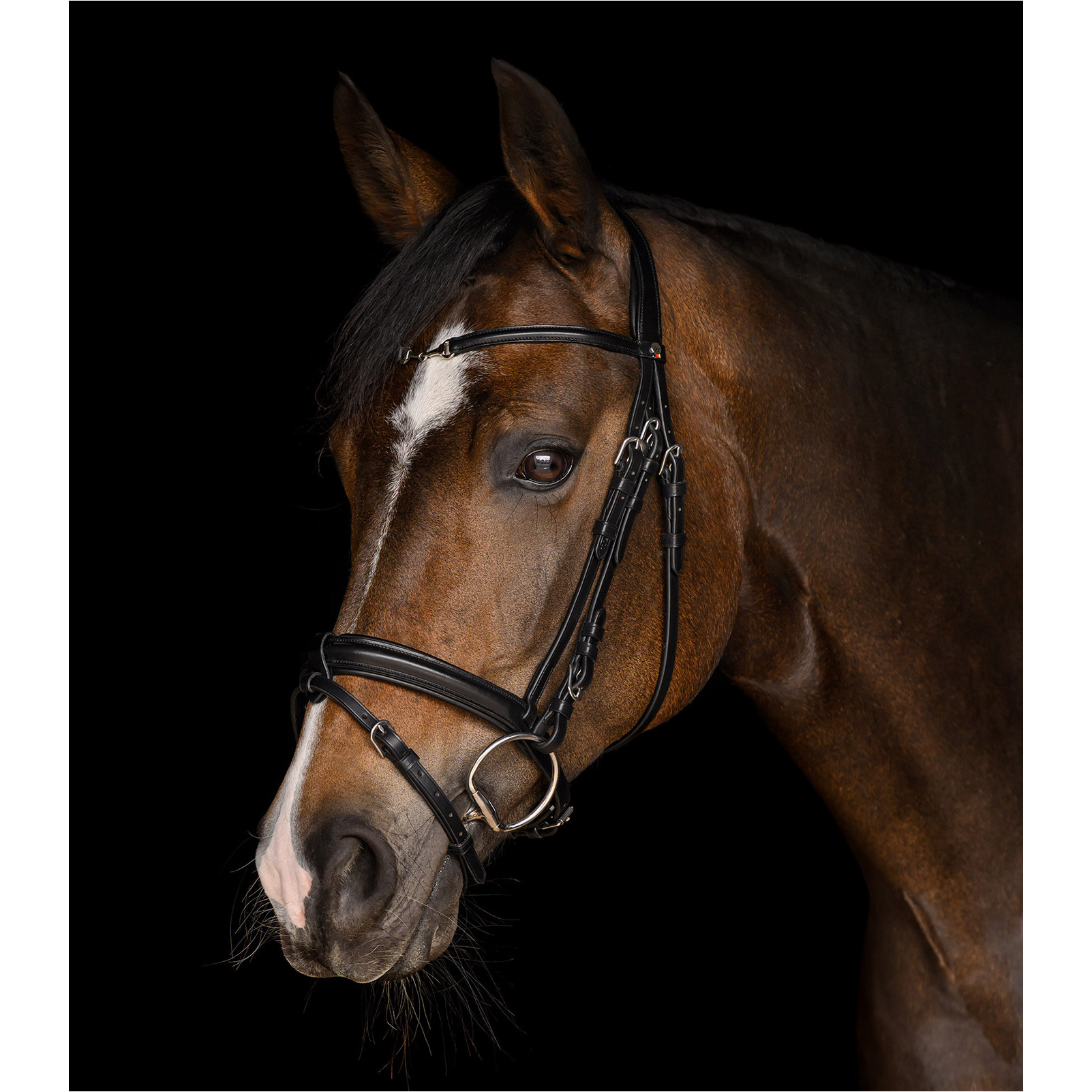 Trensenzaum englisch kombiniert X-Line CHARMBIT schwarz