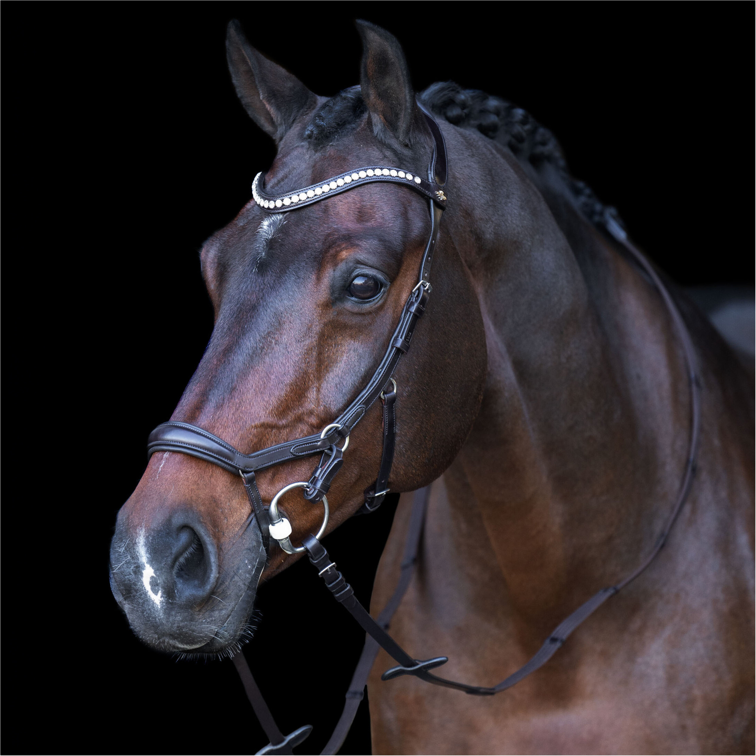 Trense HVPLegacy anatomisch Deluxe chocolate braun