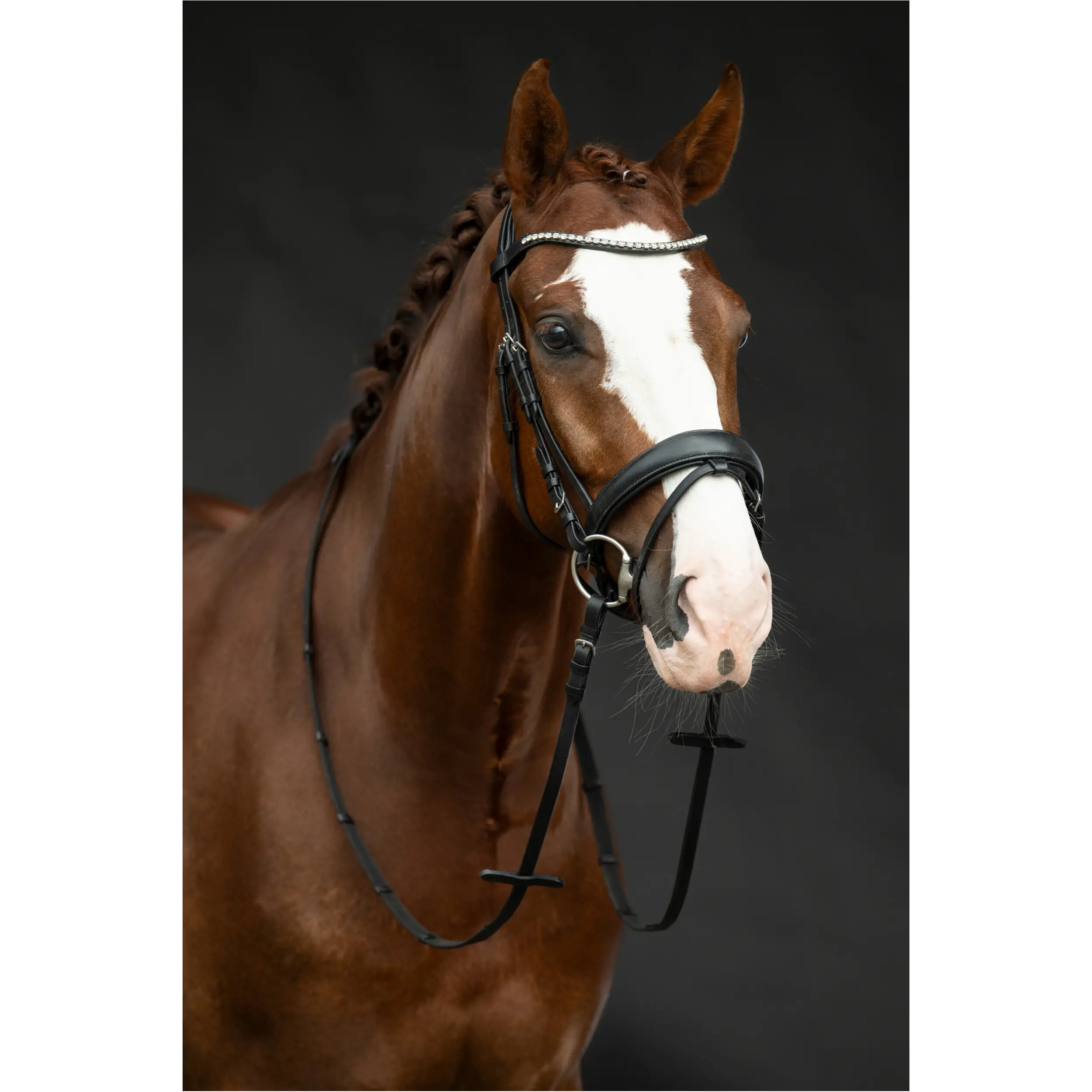 Trensenzaum BELLA schwarz