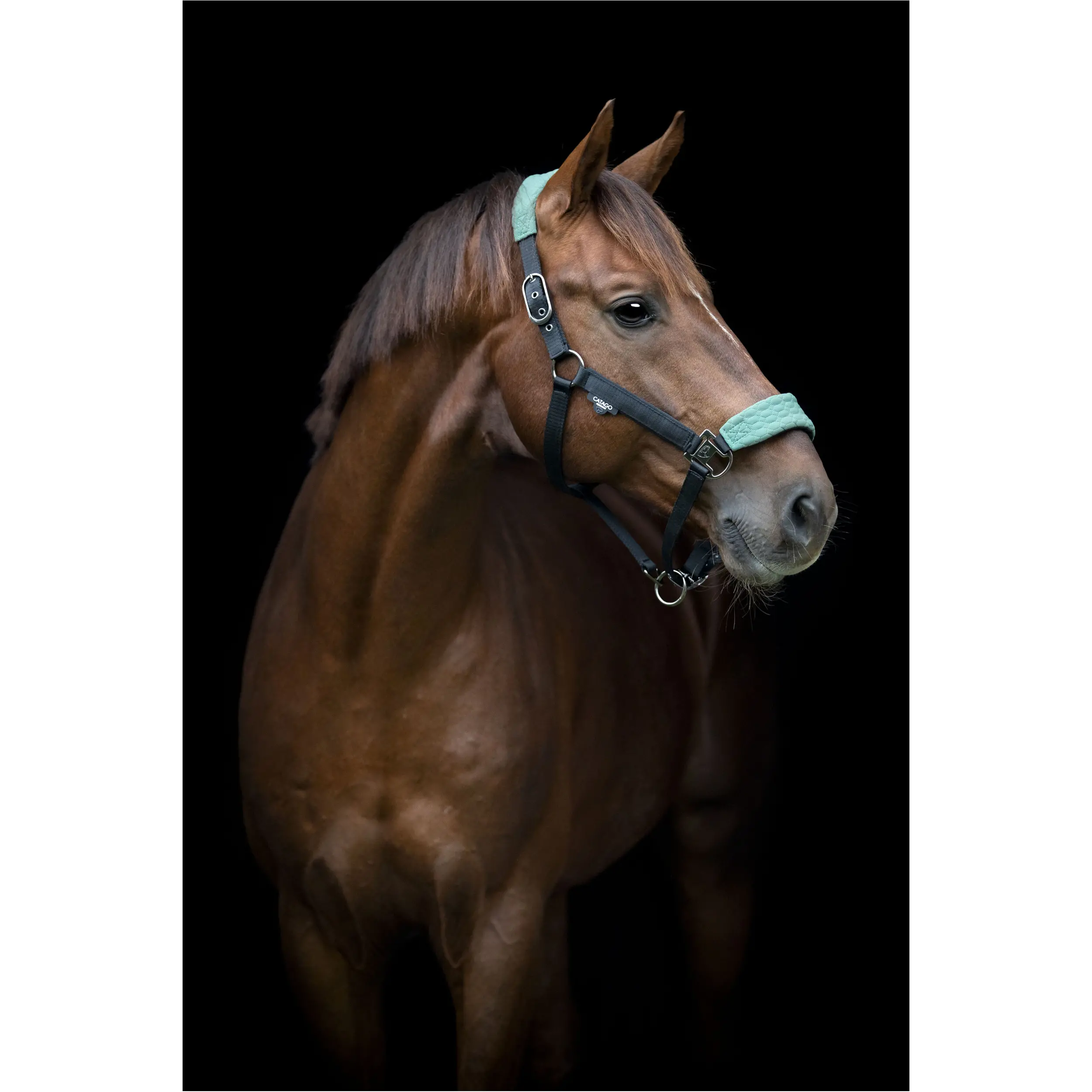 Halfter FIR-Tech GRAND duck green Halfter FIR-Tech GRAND duck green