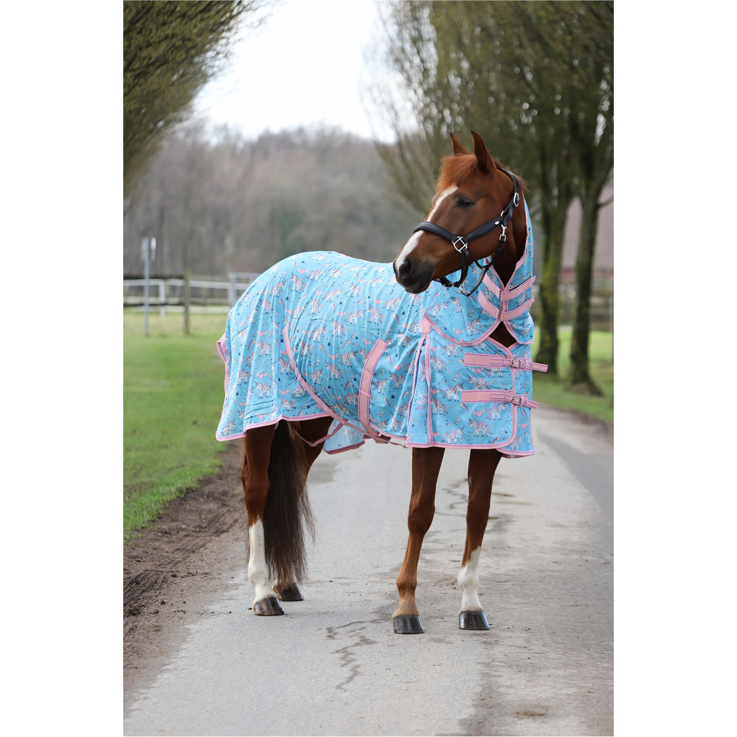 Fliegendecke mit Halsteil und Kreuzgurt DESIGN Unicorn hellblau/rosa