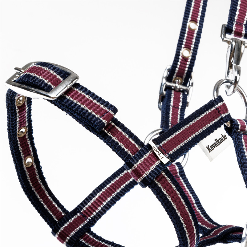 Fohlenhalfter marine/bordeaux/silber Fohlenhalfter marine/bordeaux/silber