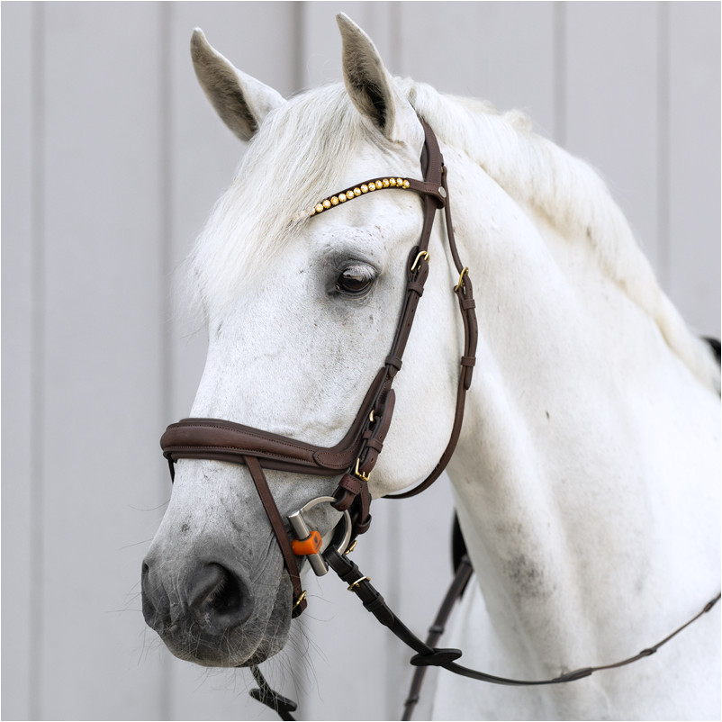 Trensenzaum englisch kombiniert CALIANO Leder geölt braun/messing