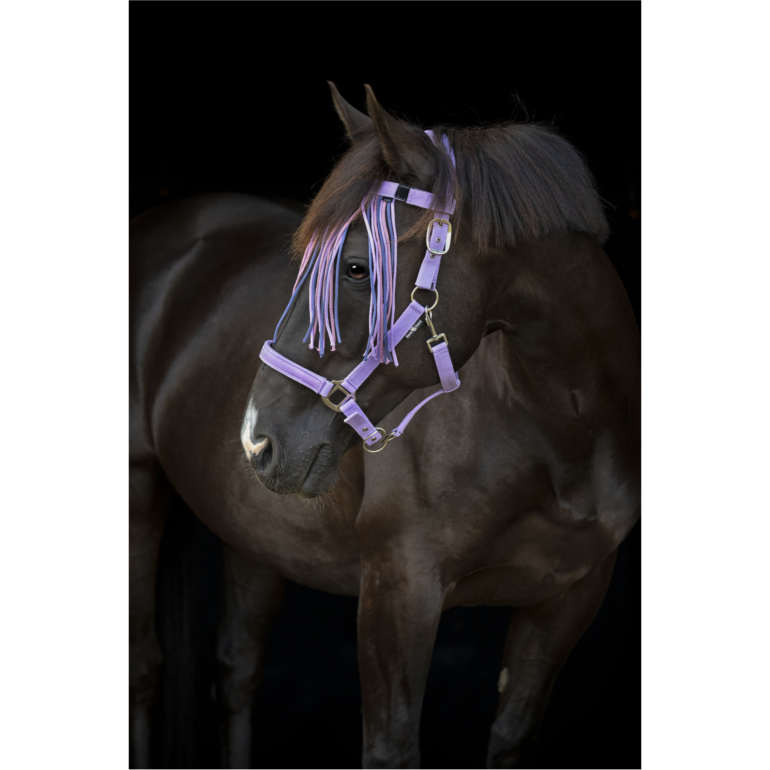 Fliegenstirnband mit Fransen MALVA lavender