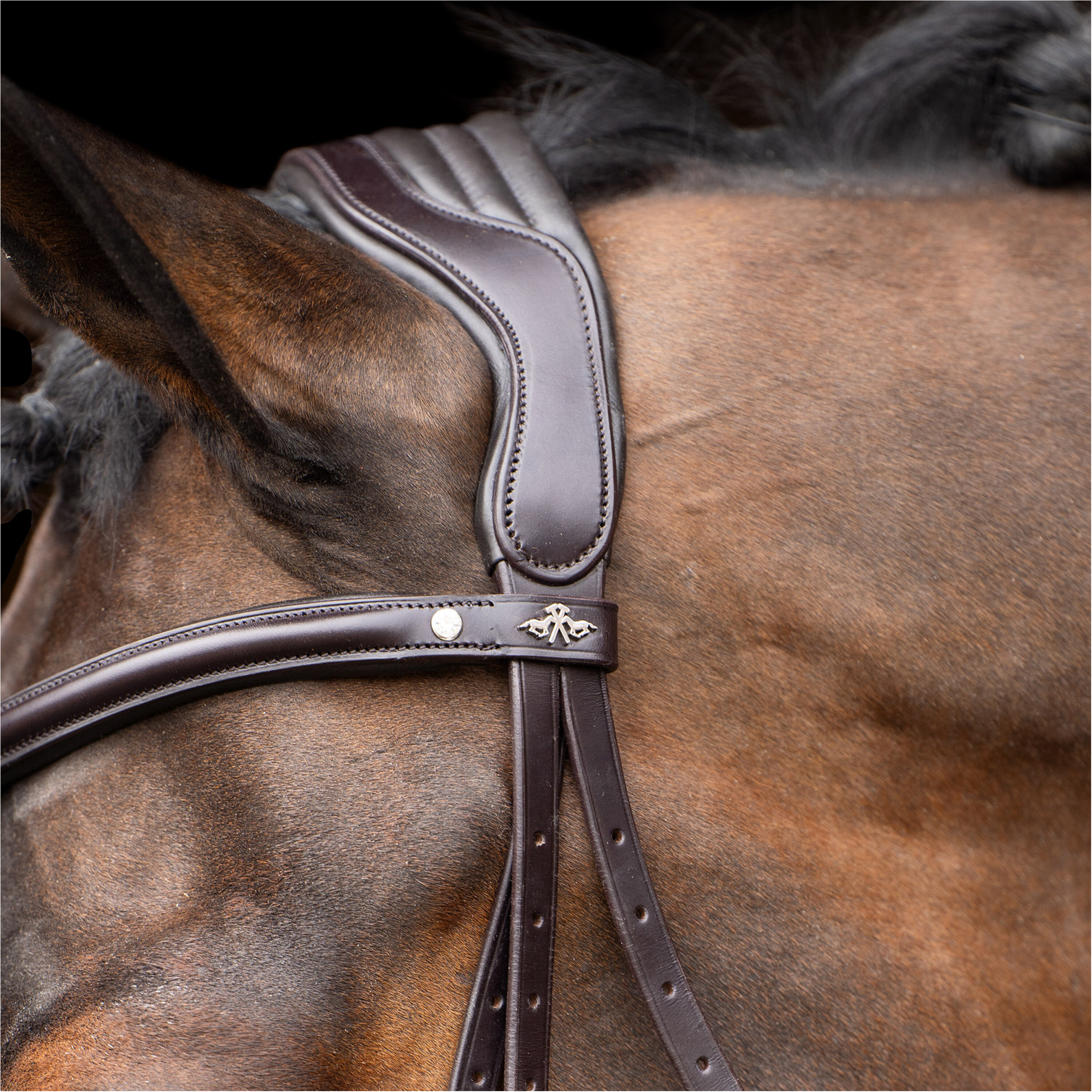 Trensenzaum HVPLegacy chocolate braun