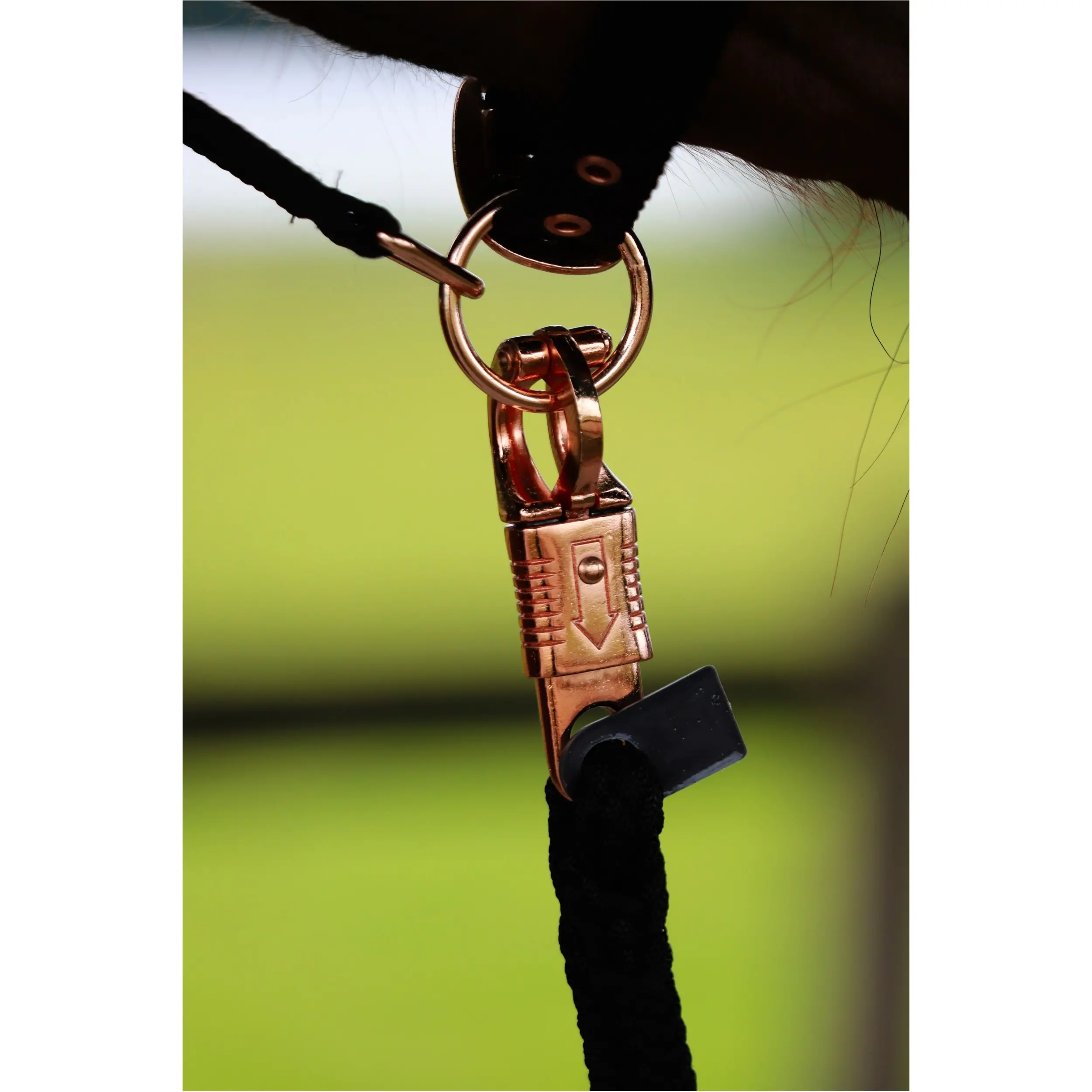 Halfter-Set mit Führstrick ELEGANT schwarz/roségold Halfter-Set mit Führstrick ELEGANT schwarz/roségold