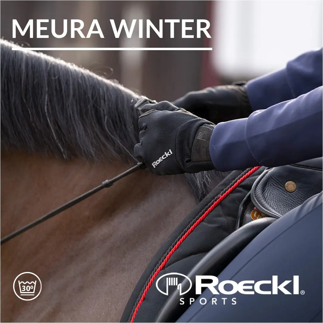 Winter Reithandschuhe MEURA schwarz