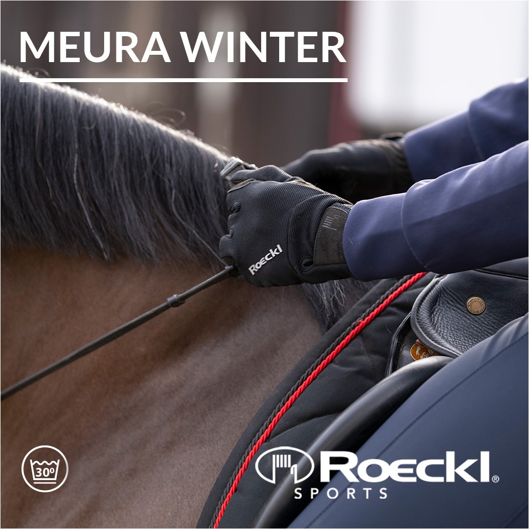 Winter Reithandschuhe MEURA schwarz