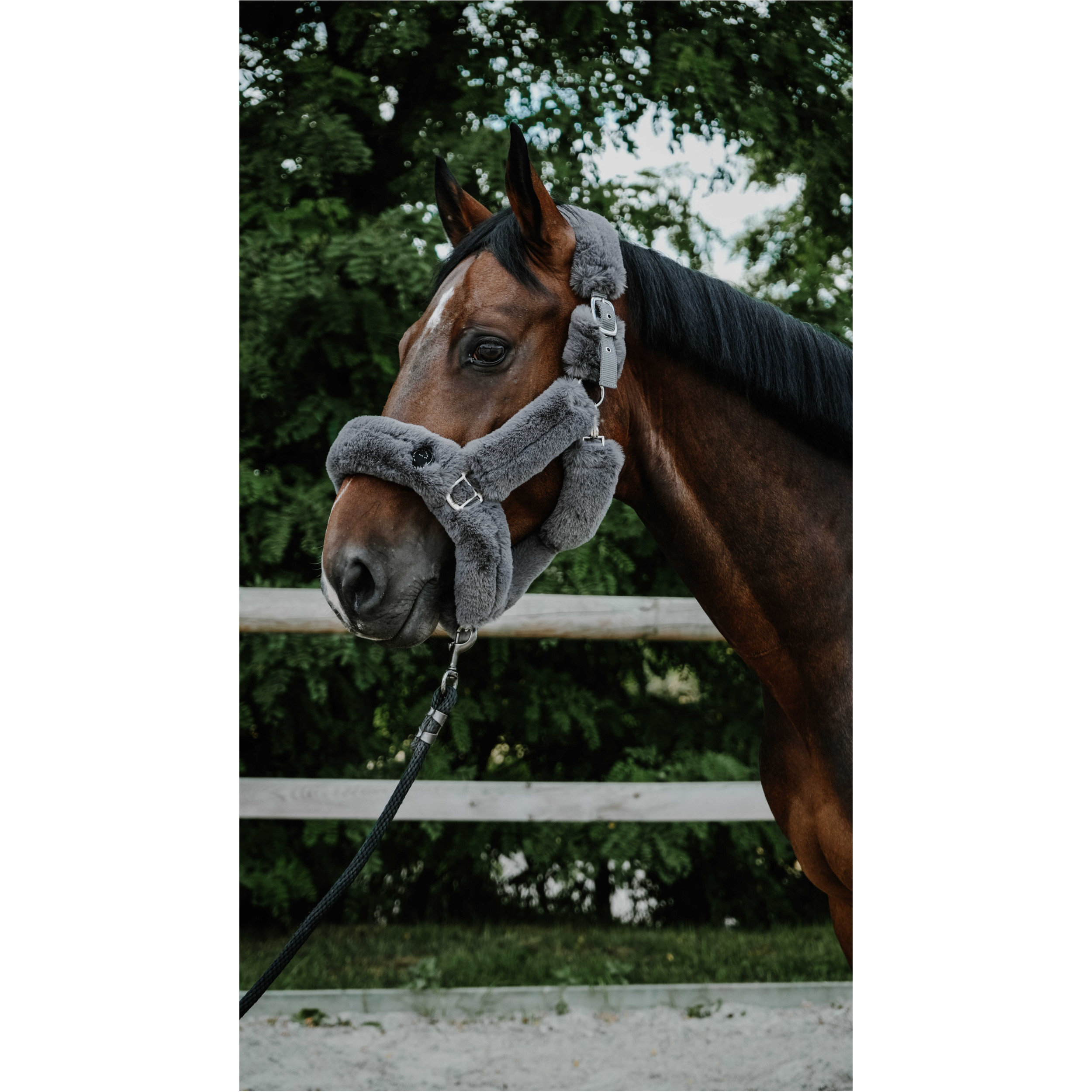 Halfter Je t'aime SNUGGY grau Halfter Je t'aime SNUGGY grau