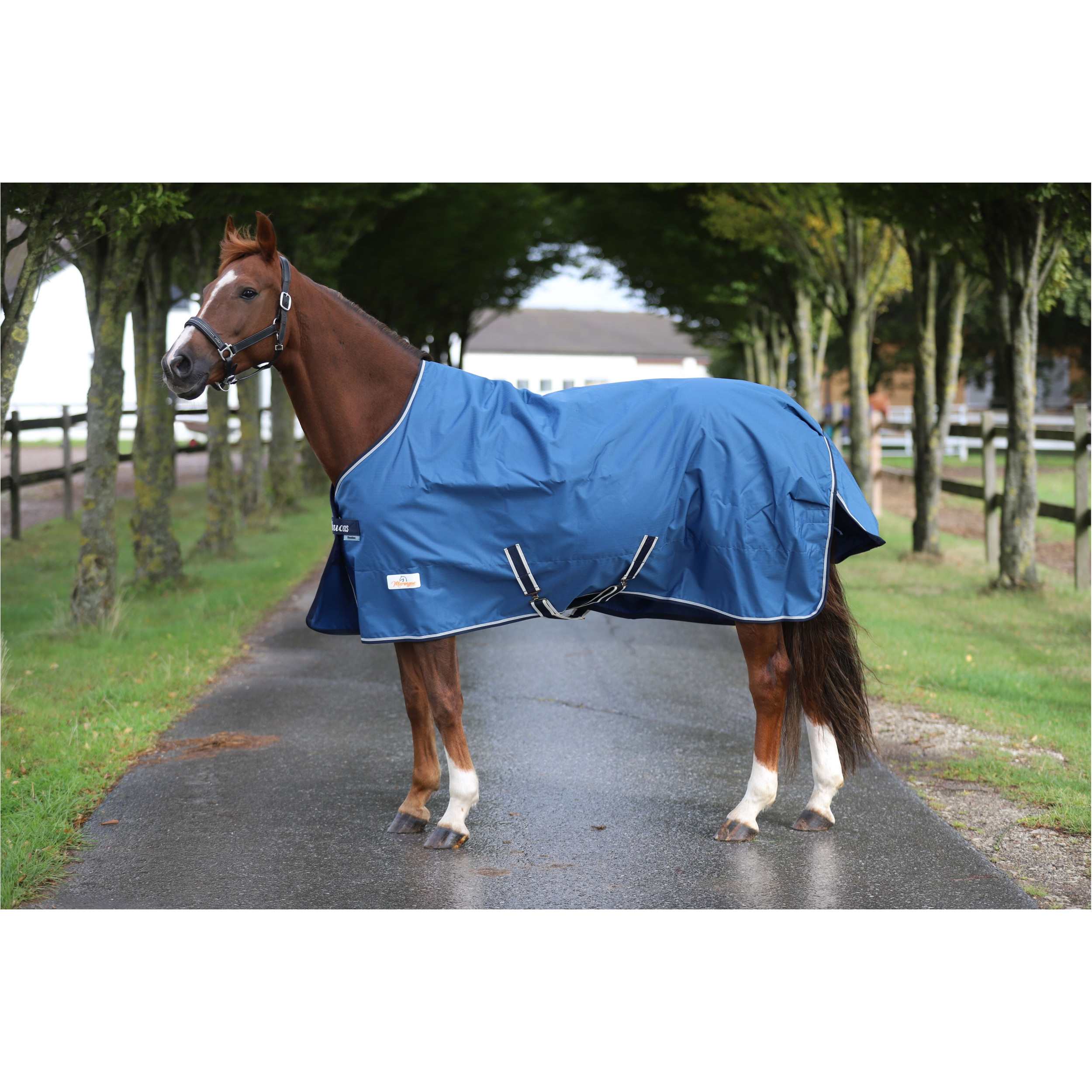 Weidedecke 600D FREEDOM TURNOUT blau/navy