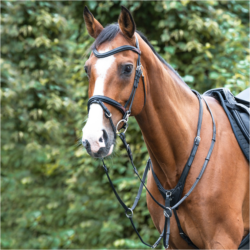 Martingal weich gepolstert AZRIEL schwarz