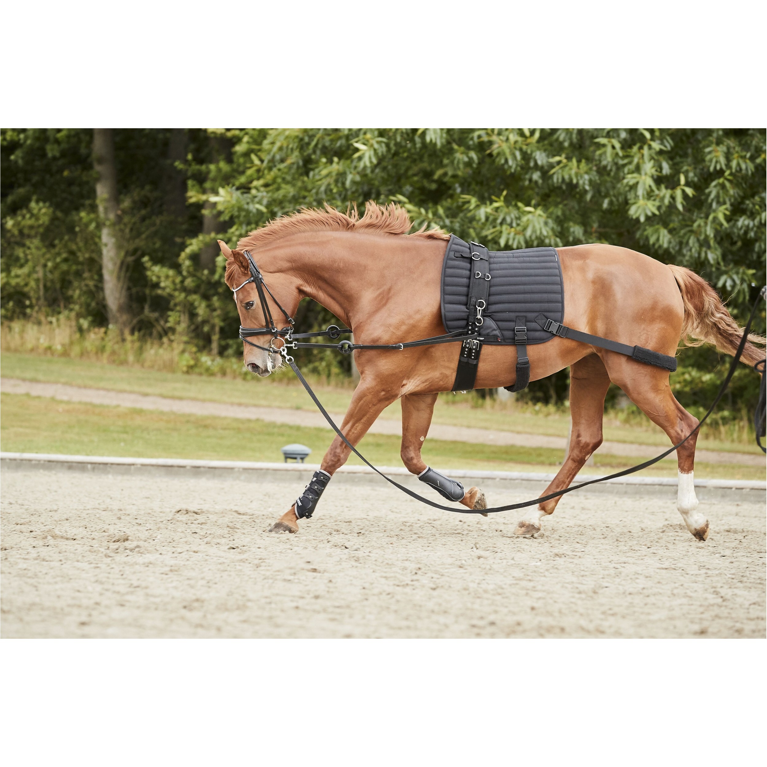 Trainingsschabracke mit Elastik HYBRID schwarz