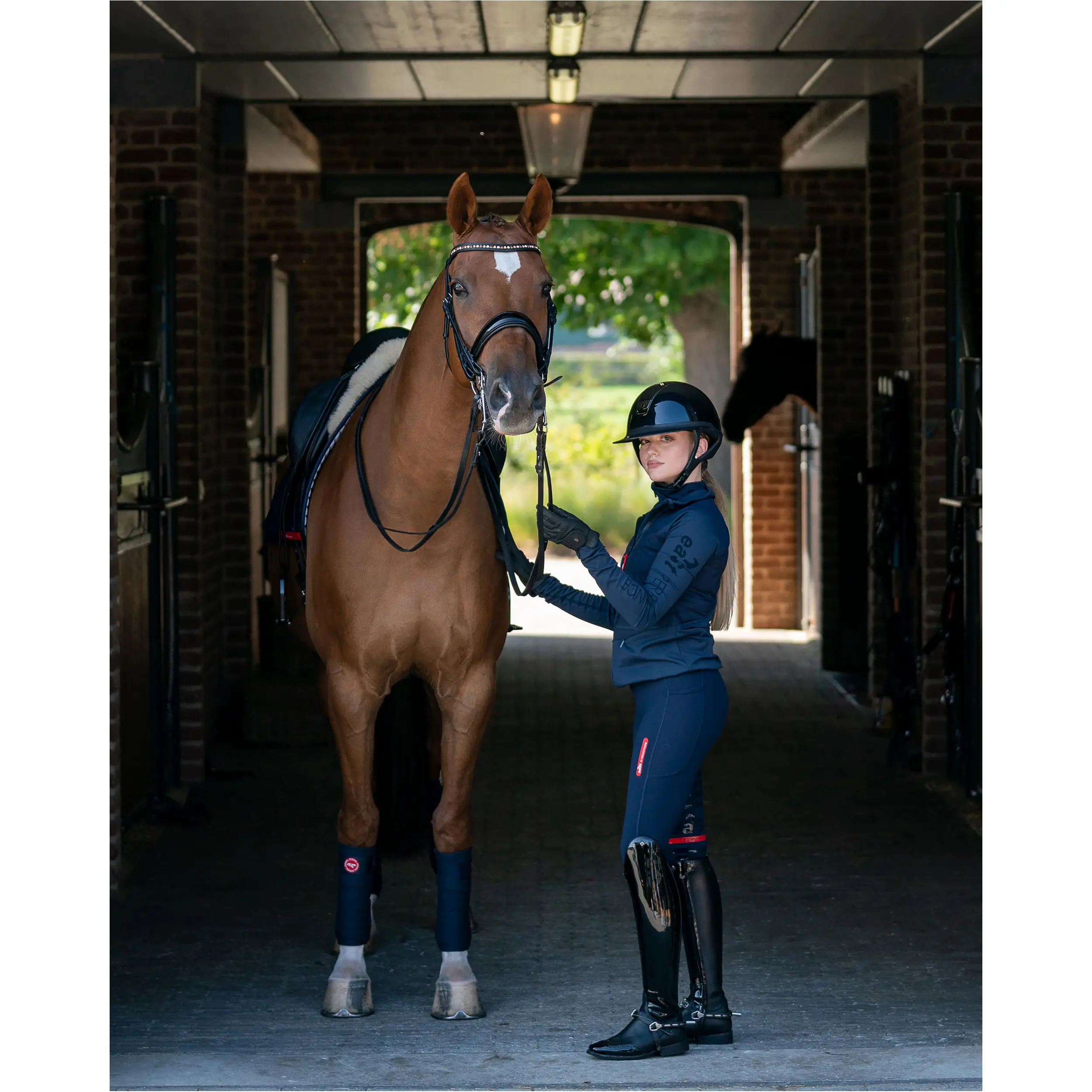 Damen Reitjacke HYBRID JERSEY midnight blue