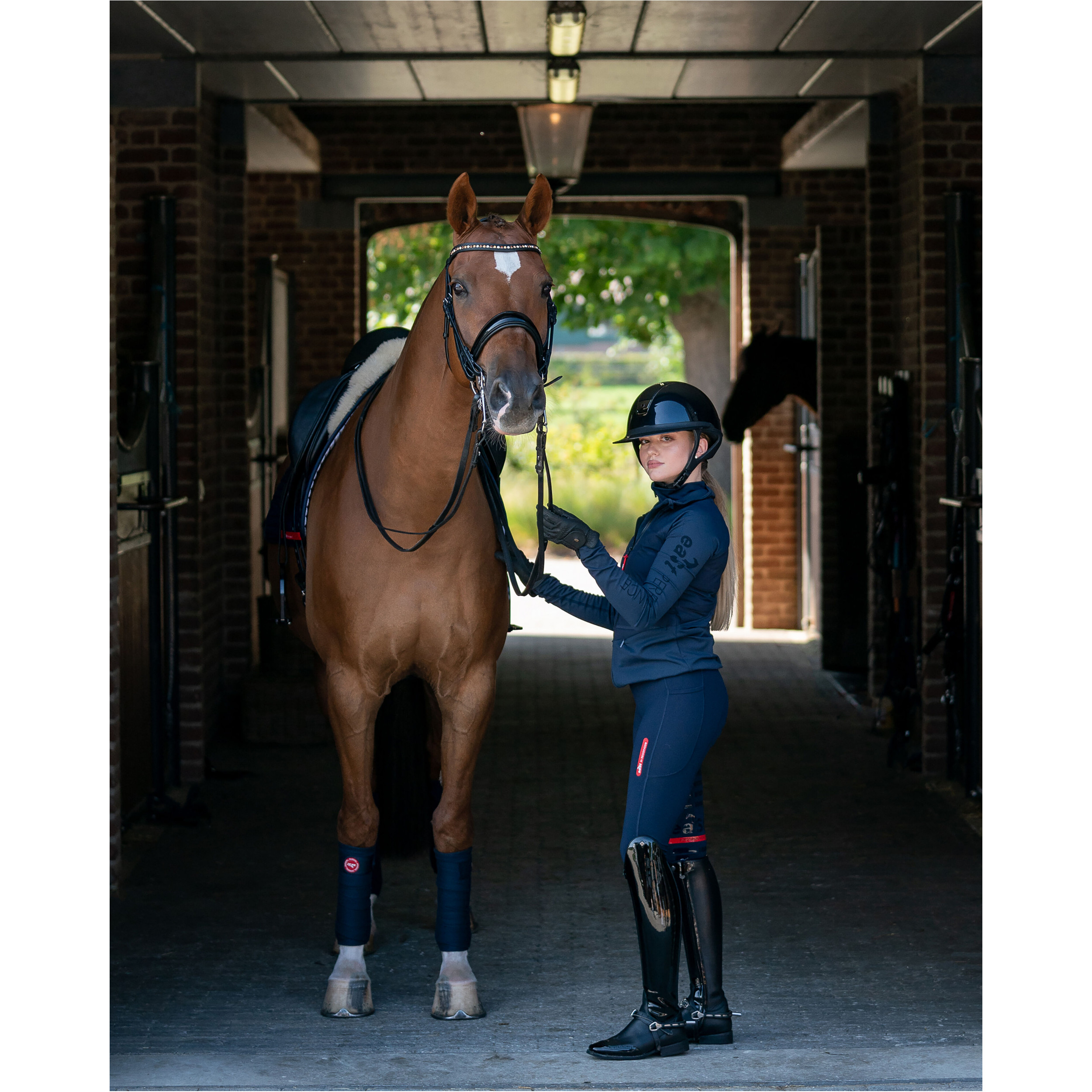 Damen Reitjacke HYBRID JERSEY midnight blue
