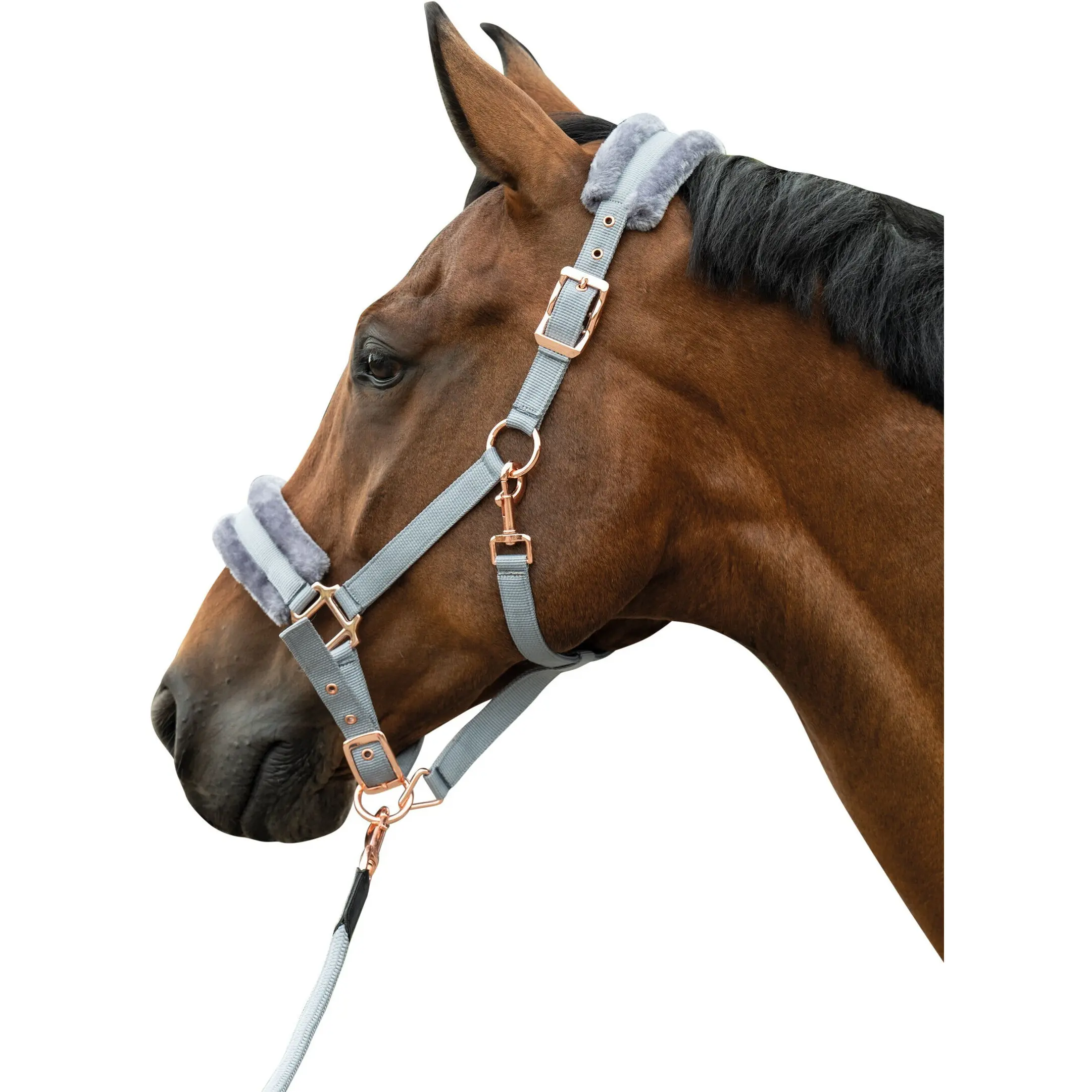 Halfter ROSEGOLD GLAMOUR STYLE grau/rosegold