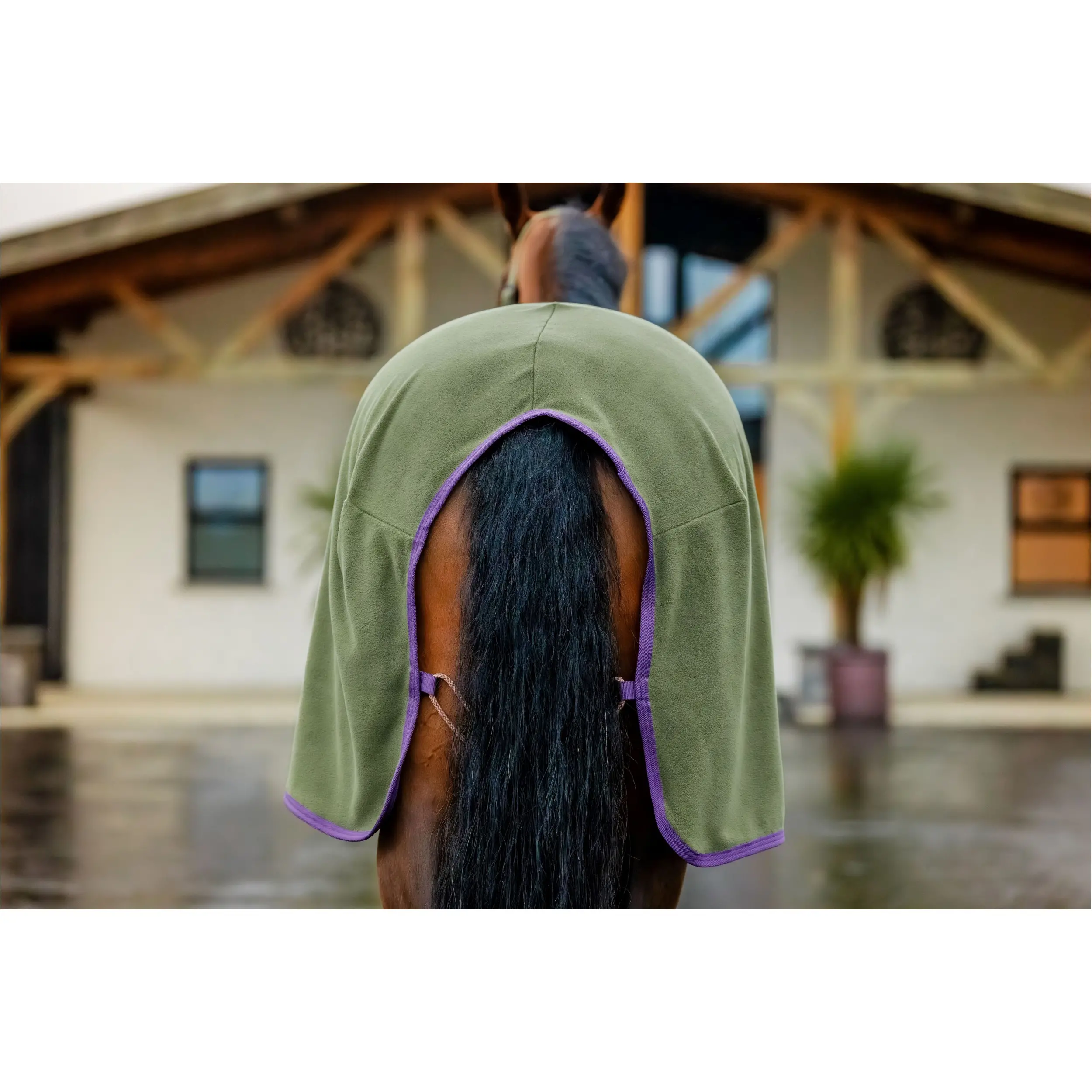 Abschwitzdecke AMIGO Fleece Cooler bramble/winterberry/taupe
