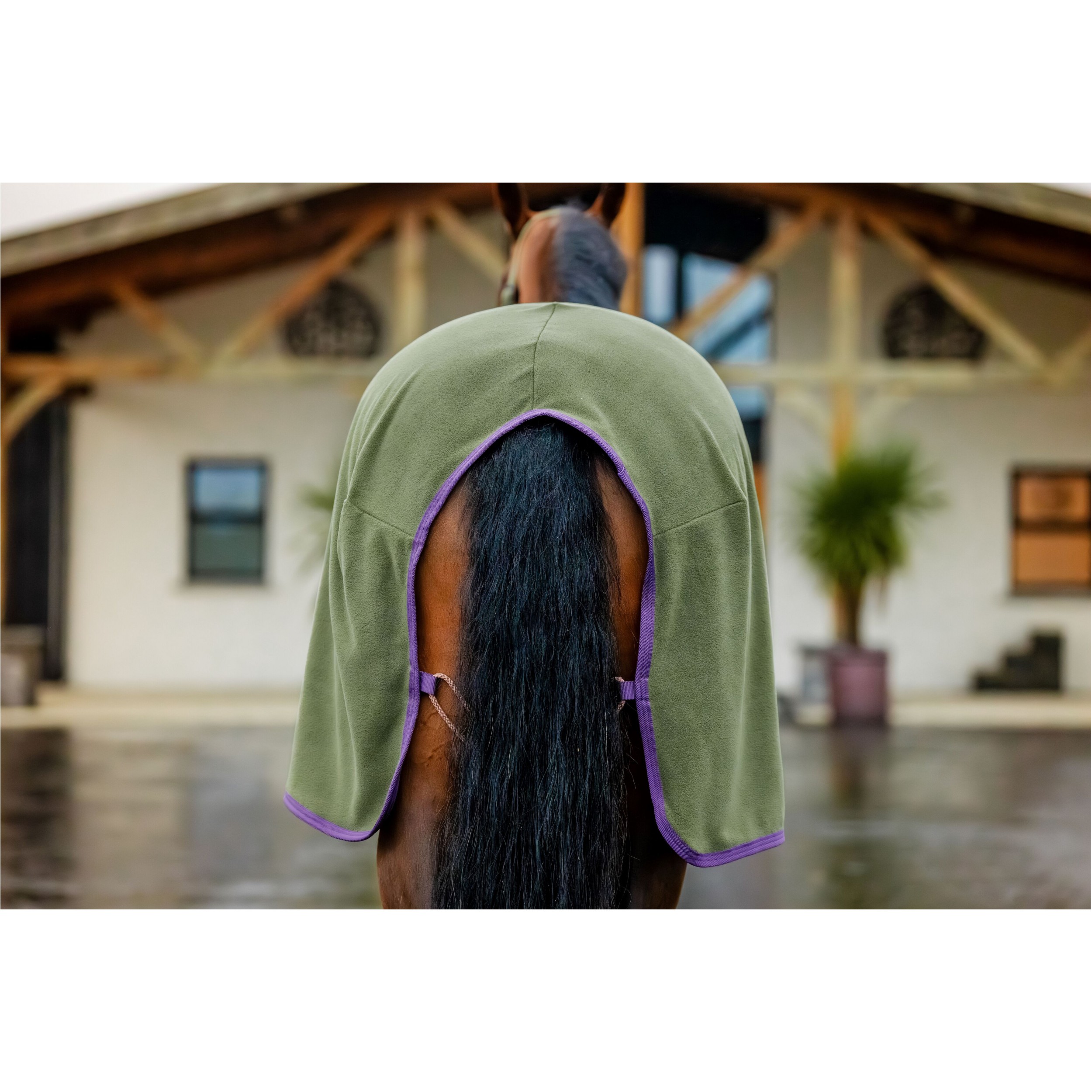 Abschwitzdecke AMIGO Fleece Cooler bramble/winterberry/taupe