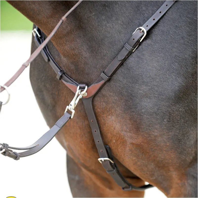 Vorderzeug EVERYDAY Leder geölt braun