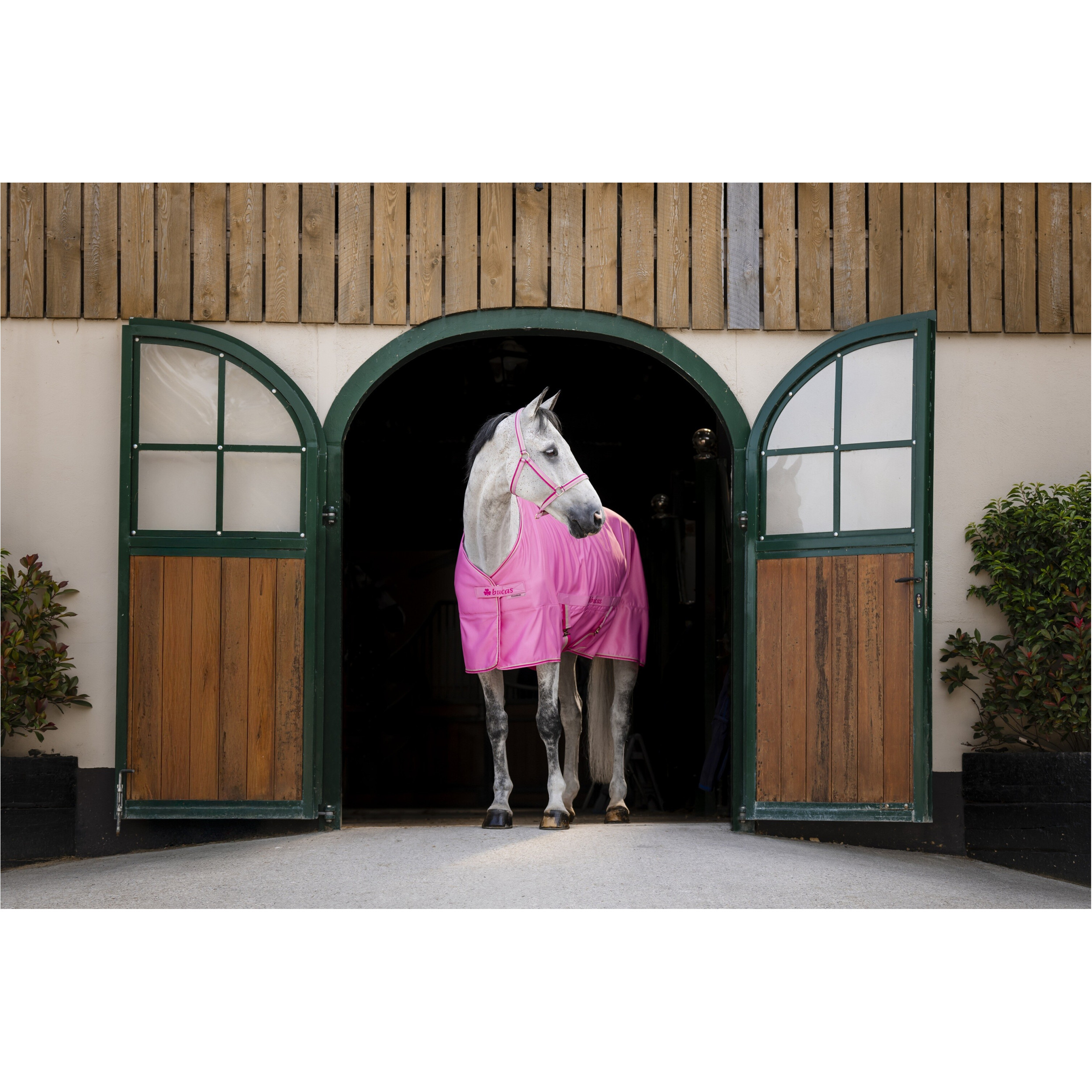 Stall-, Sommer- und Transportdecke FREEDOM TWILL SHEET aurora pink