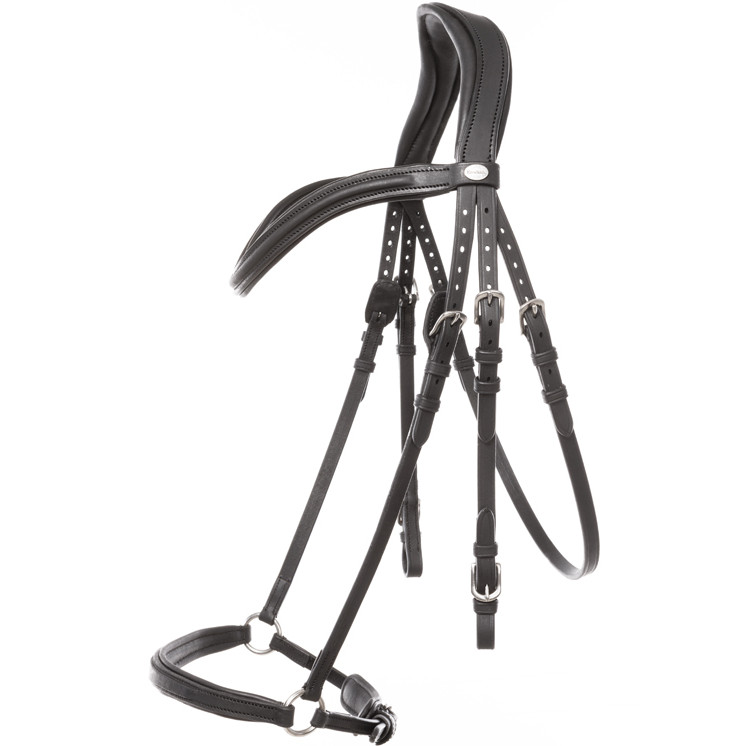 Trensenzaum hannoveranisch EVERANA Leder geölt schwarz Trensenzaum hannoveranisch EVERANA Leder geölt schwarz