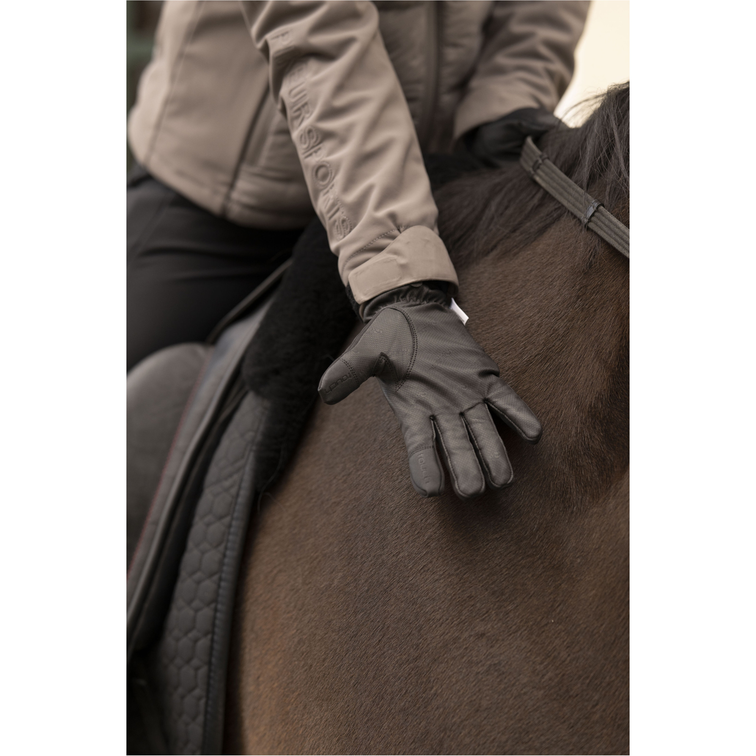 Winter Reithandschuhe WHEATON schwarz