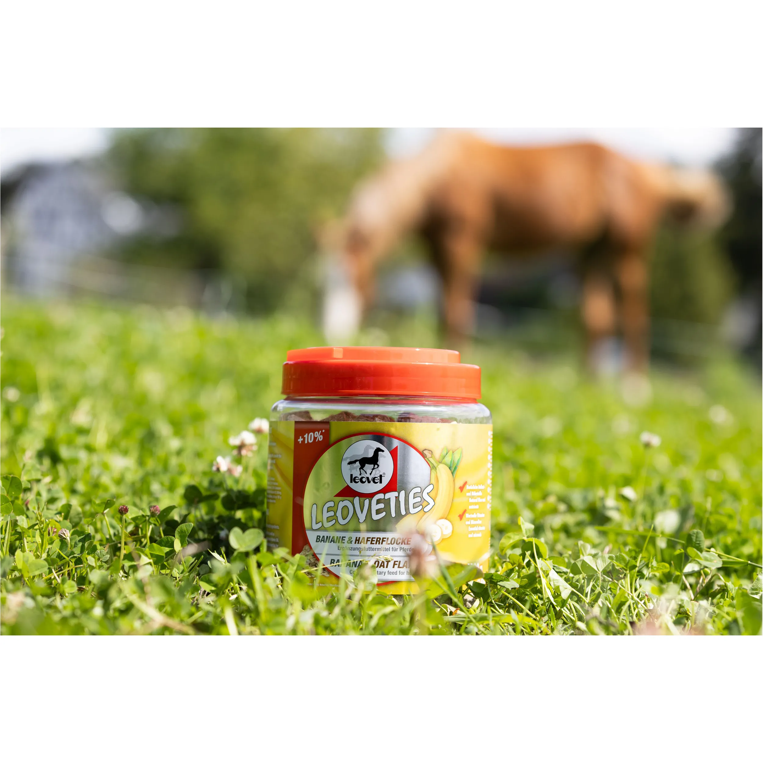 LEOVETIES Banane Haferflocke1100g
