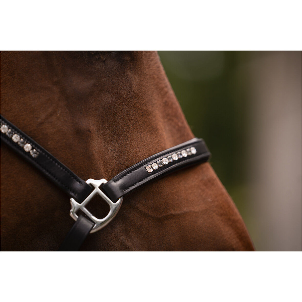 Lederhalfter SPARKLE schwarz