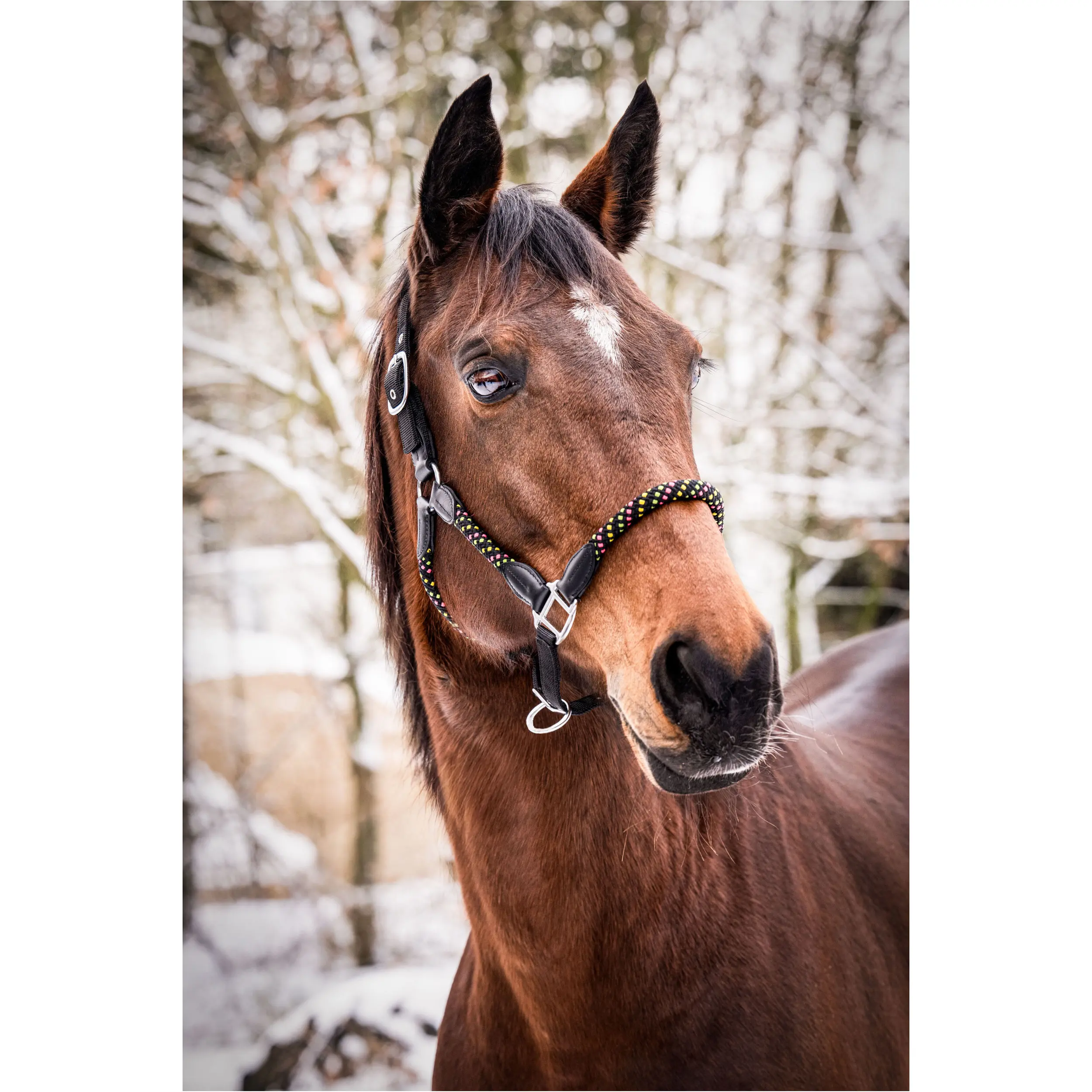 Halfter NEONFLASH schwarz