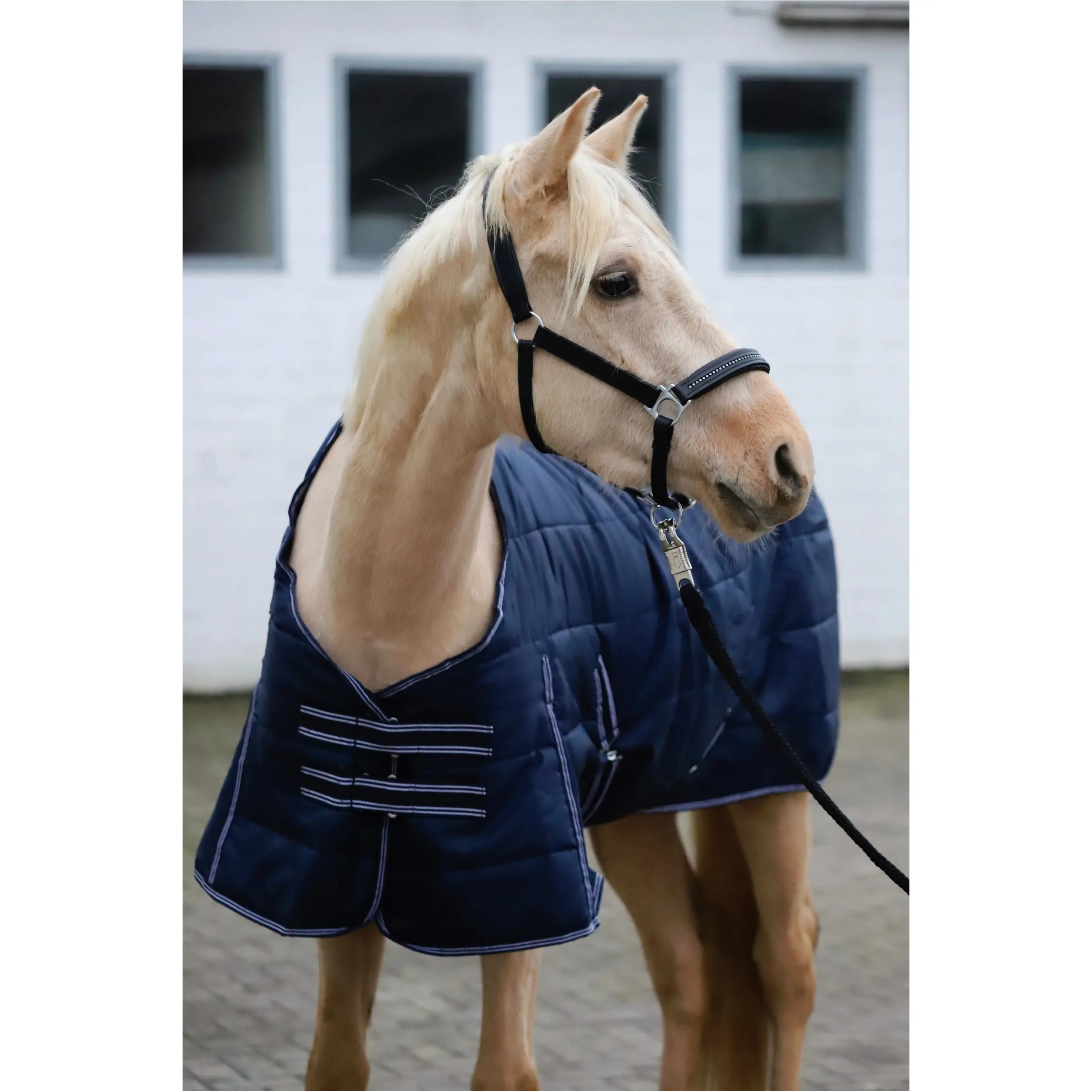 Stalldecke 200g Füllung 420D COMFORT marine Stalldecke 200g Füllung 420D COMFORT marine