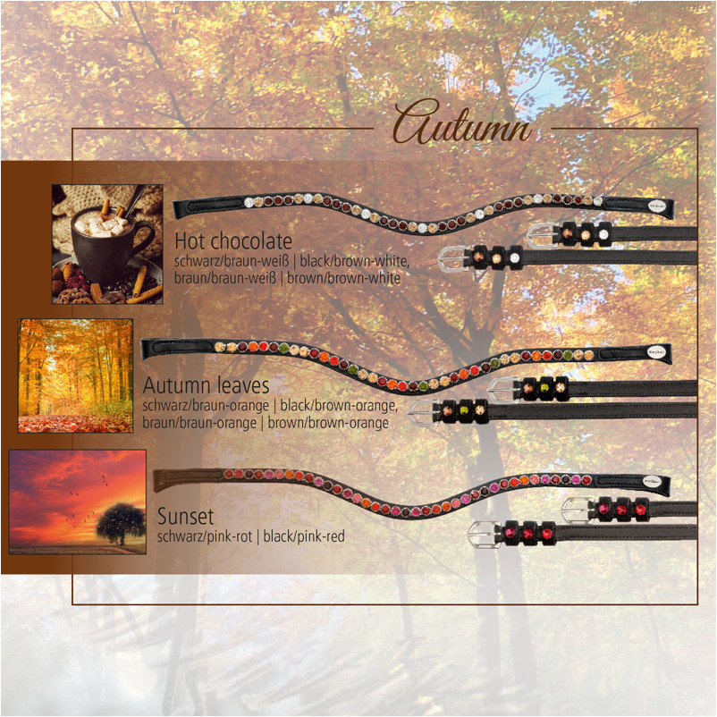 Stirnband SEASONS DREAMS schwarz/braun/weiß