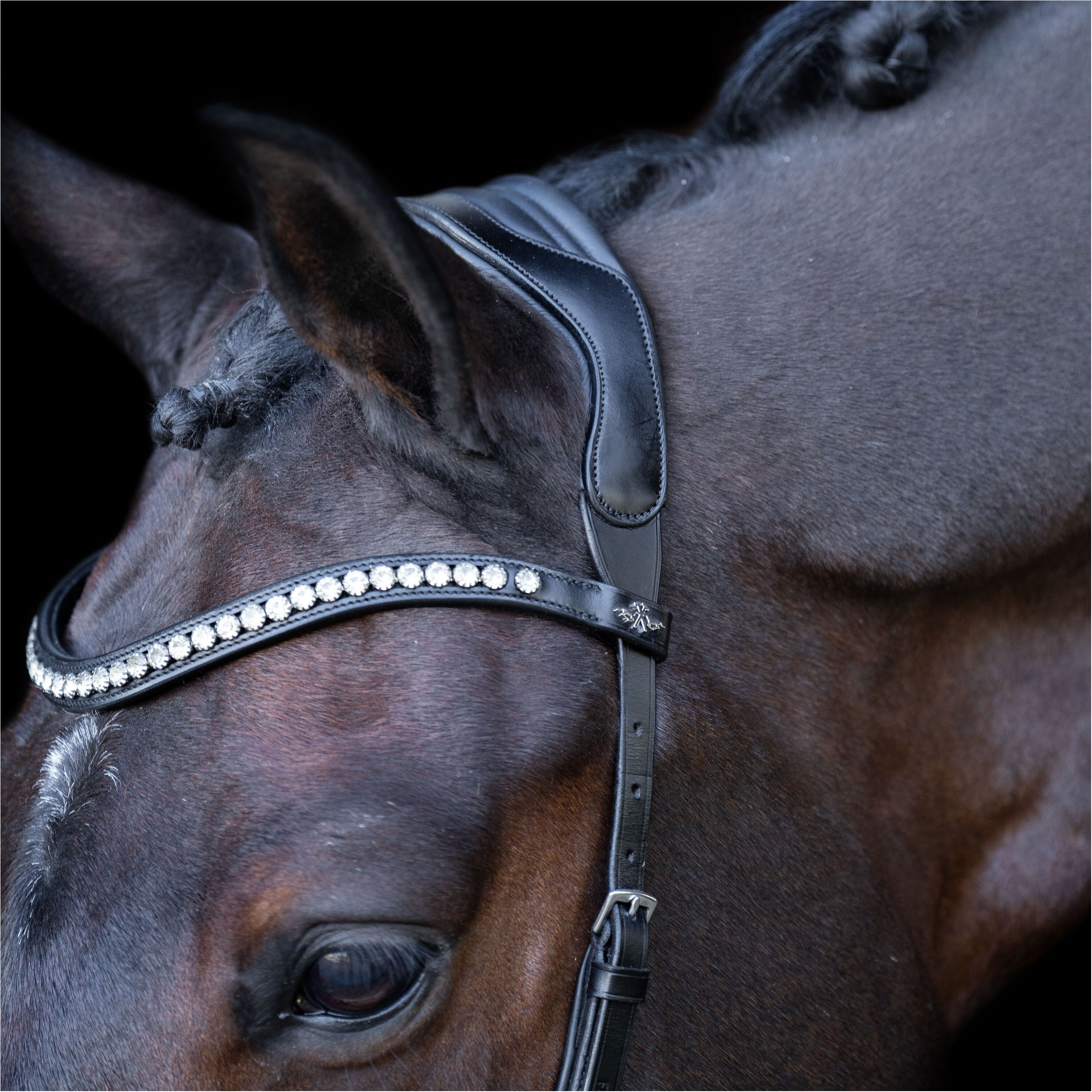 Trense HVPLegacy anatomisch Deluxe schwarz