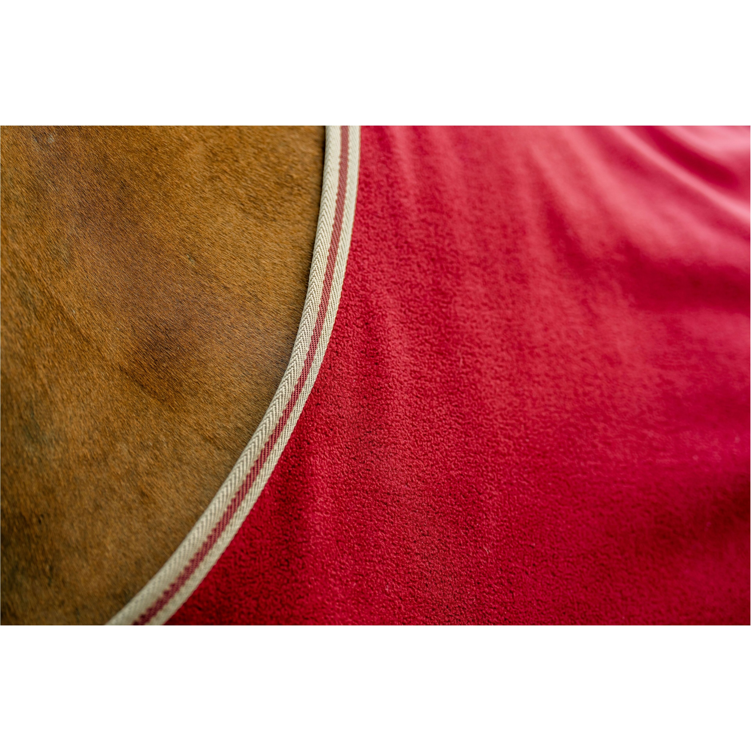 Abschwitzdecke AMIGO Fleece Cooler mulberry/taupe Abschwitzdecke AMIGO Fleece Cooler mulberry/taupe