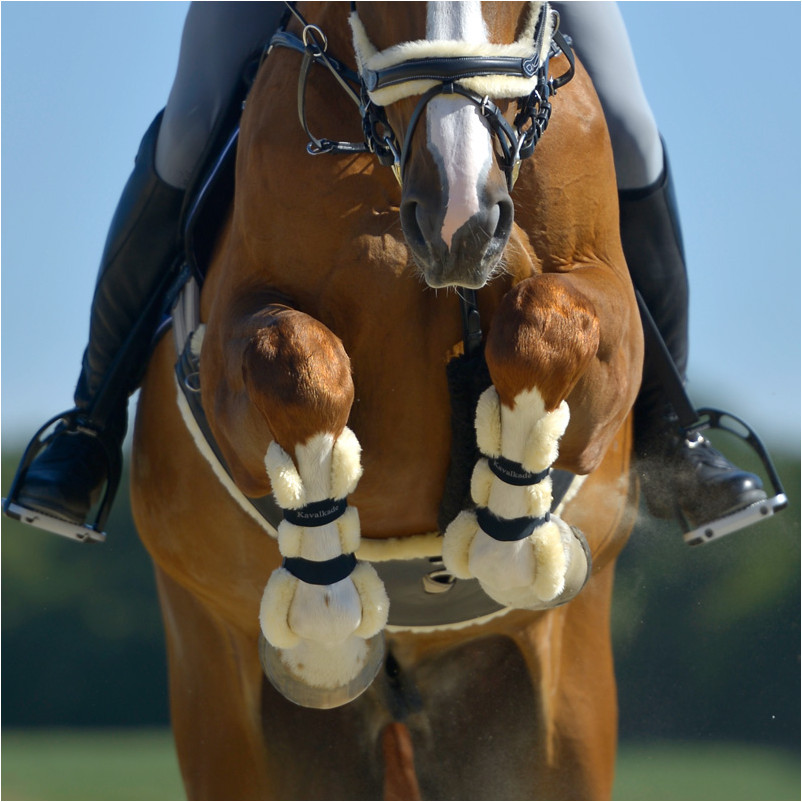 Gamaschen (2er Set) COMPETE 'N WOOL schwarz/beige