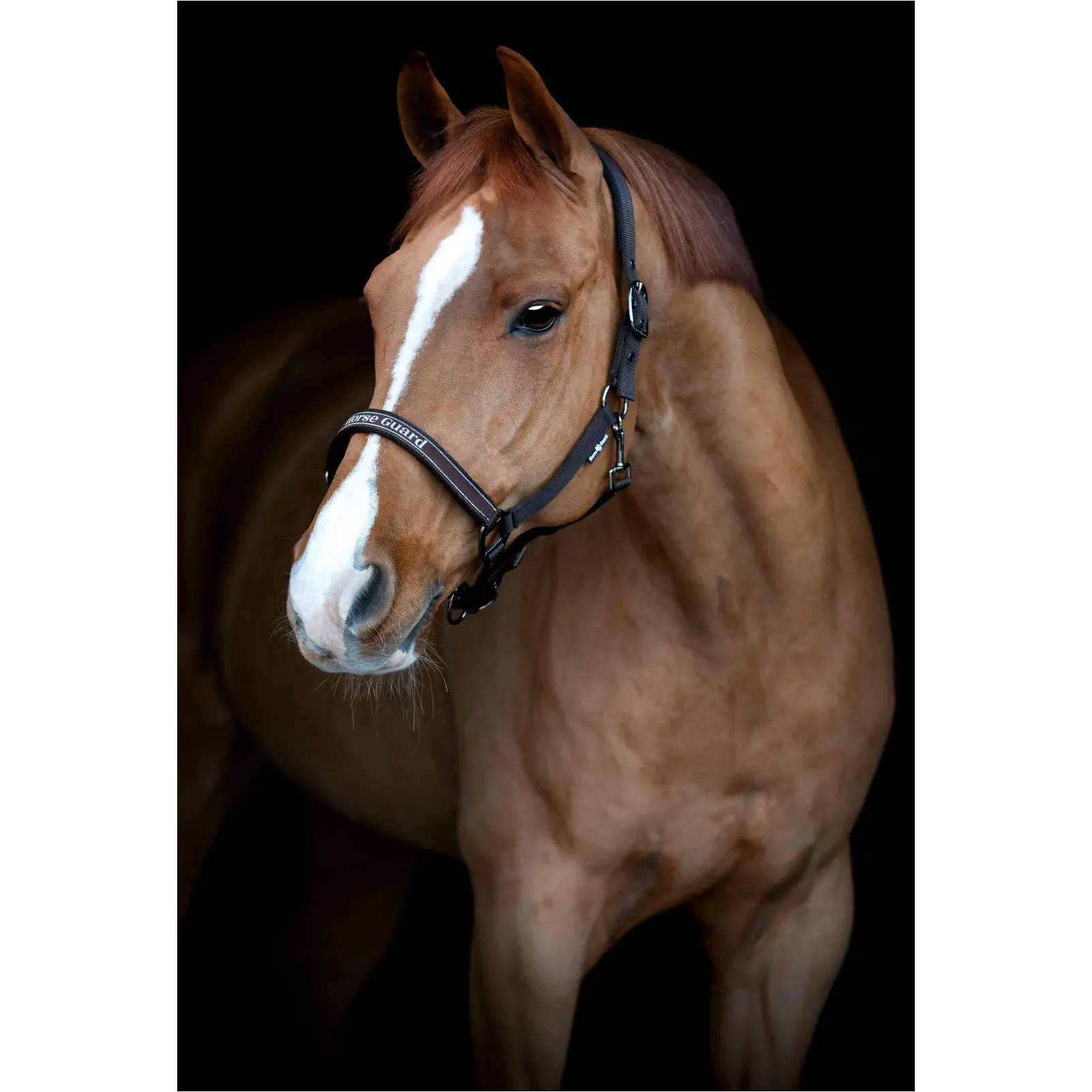 Halfter SANDRA after dark Halfter SANDRA after dark