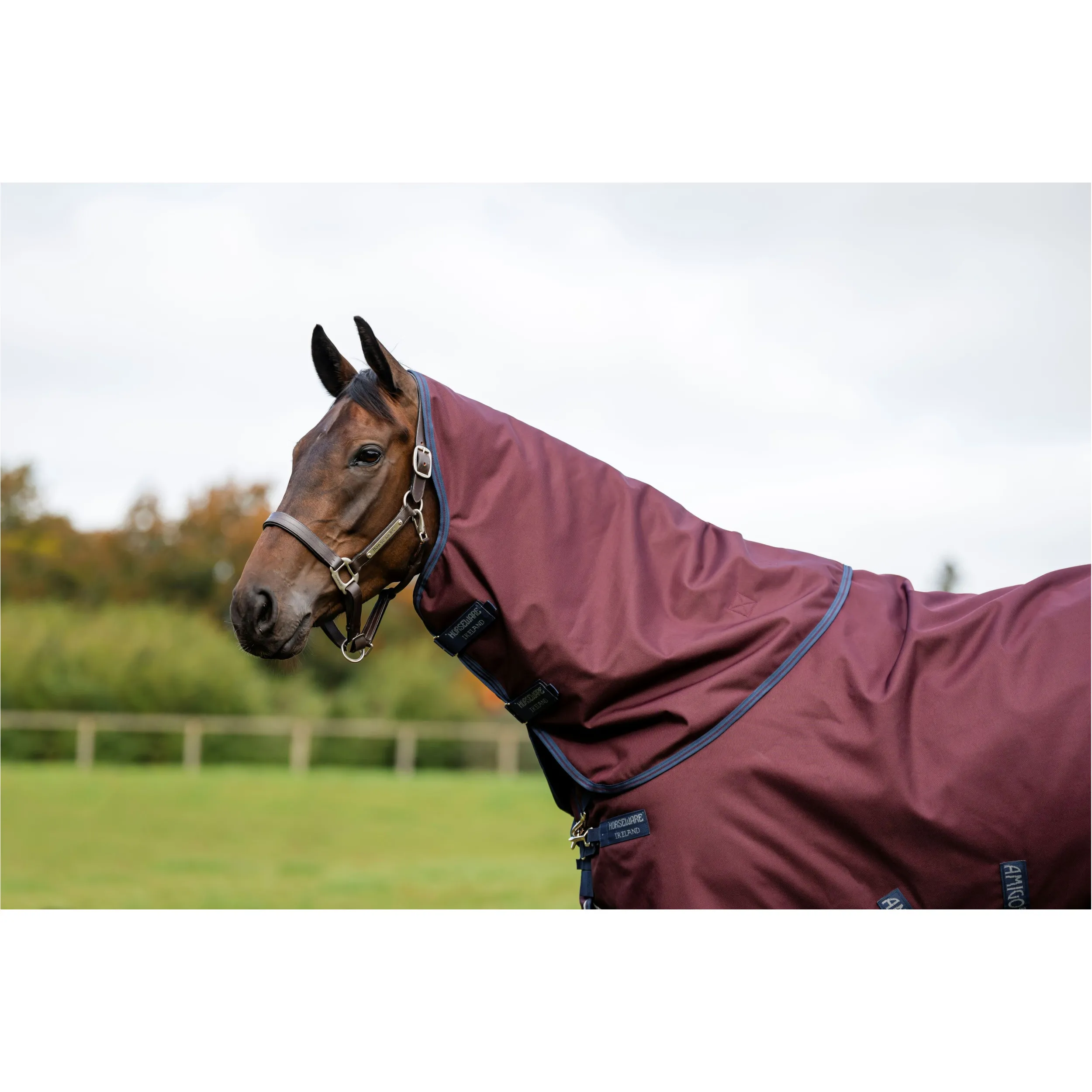Halsteil 1200D AMIGO Hood burgundy/navy/titanium grey