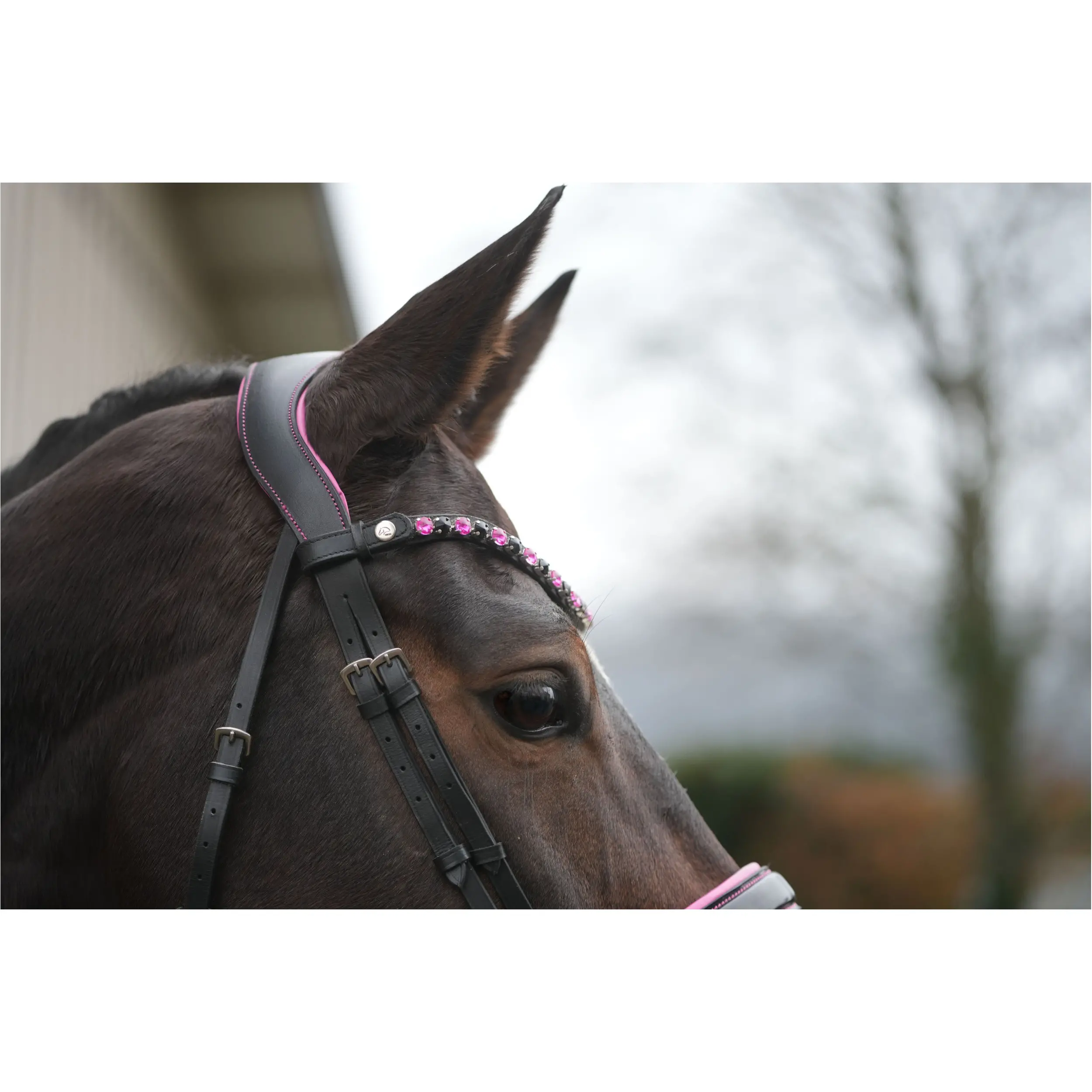 Trensenzaum mit schwedischem Reithalfter MANCHESTER schwarz/pink