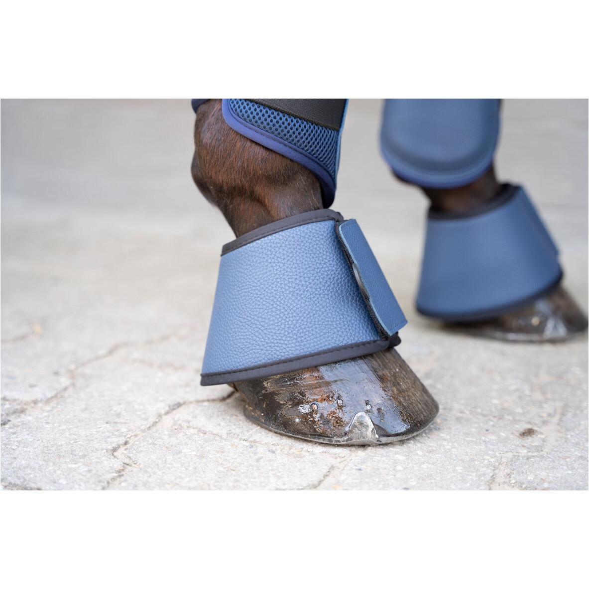 Hufglocken COMFORT PREMIUM dunkelblau