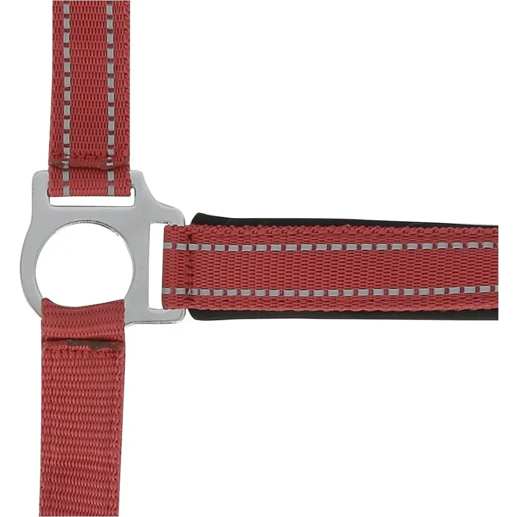 Halfter REFLECTIVE rot Halfter REFLECTIVE rot