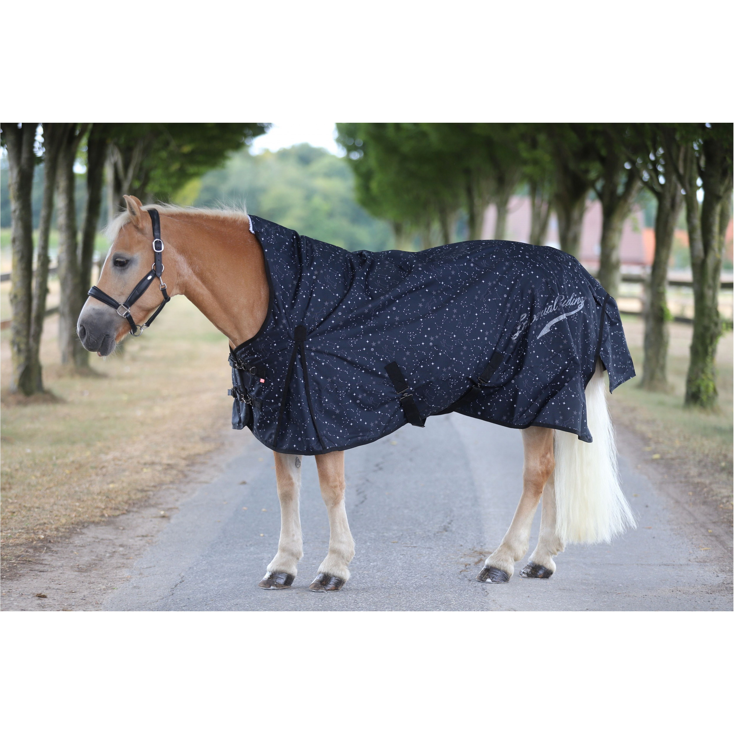 Outdoordecke 300g Füllung 600D IRHSuper-dry STARDUST black